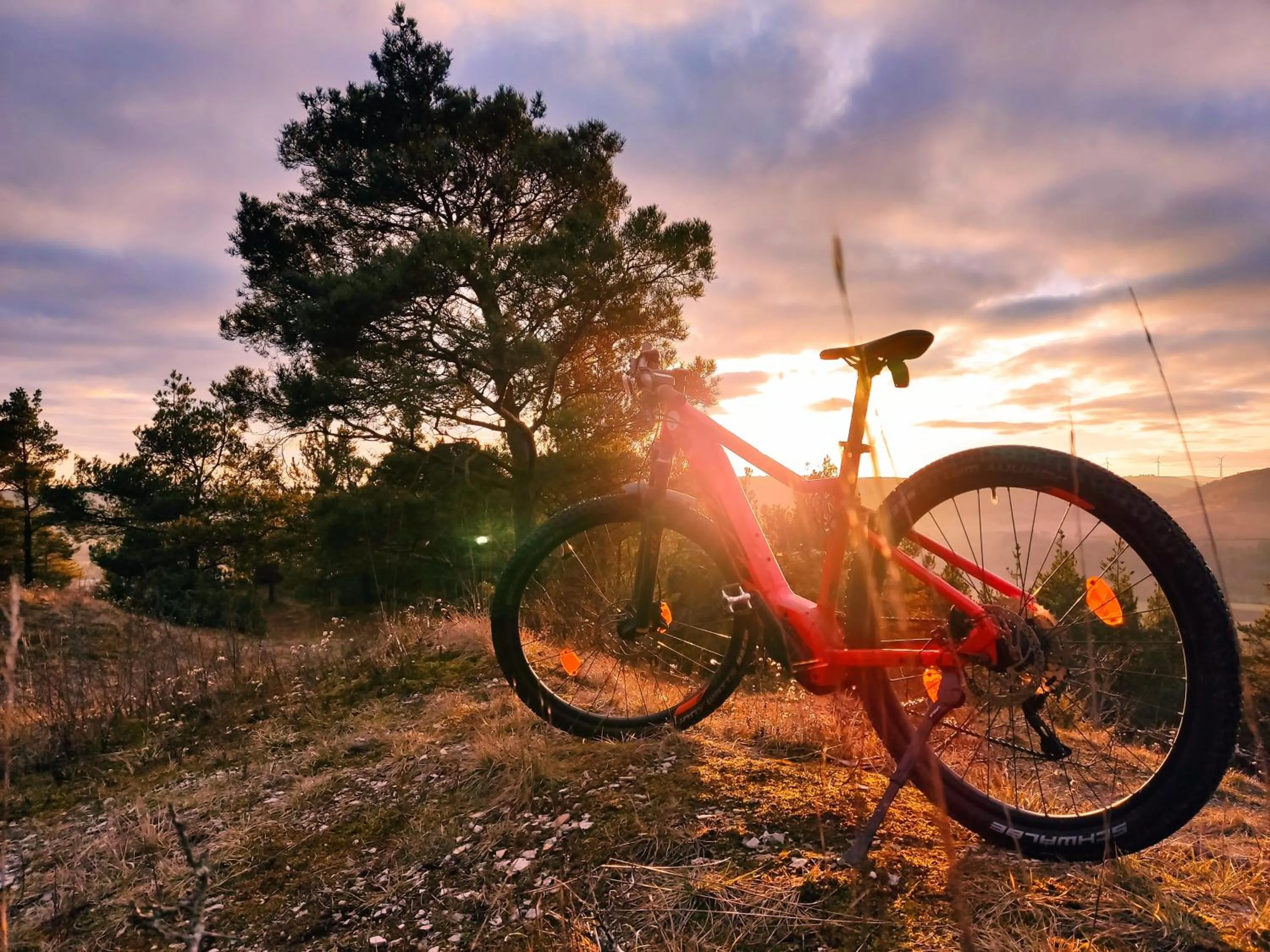 Gasthaus & Hotel Drei Lilien