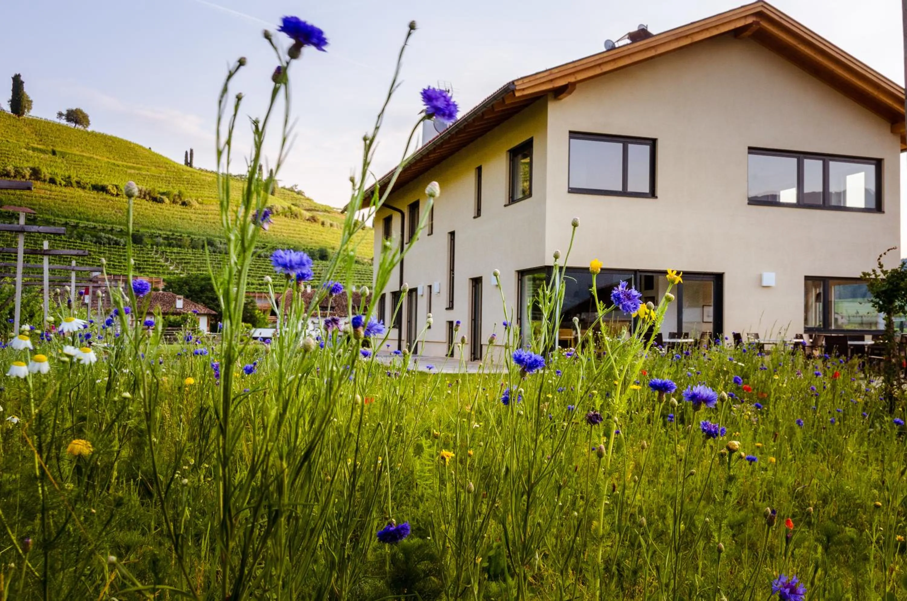 Property building in Rösslhof