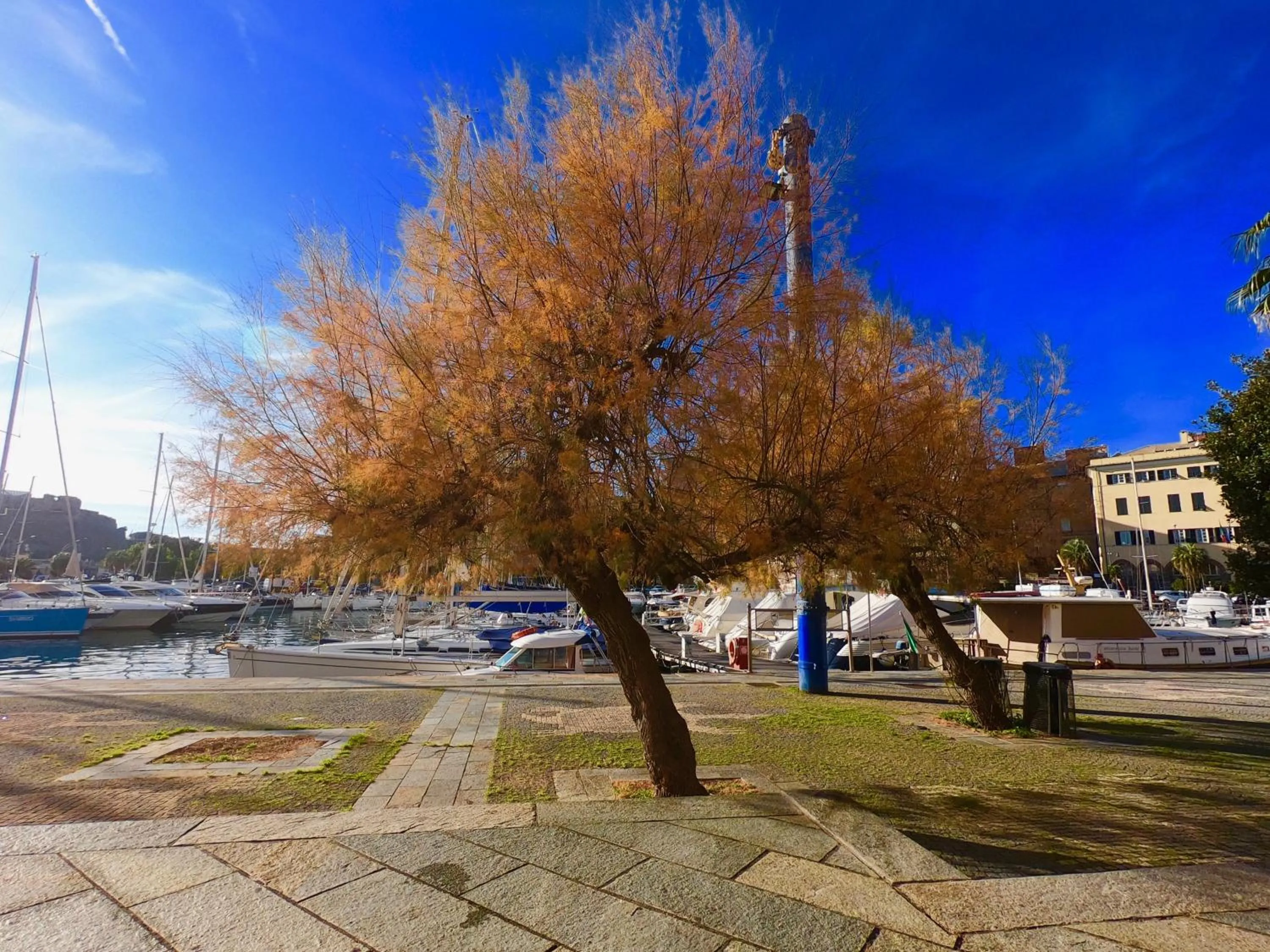 Property building in Central Savona