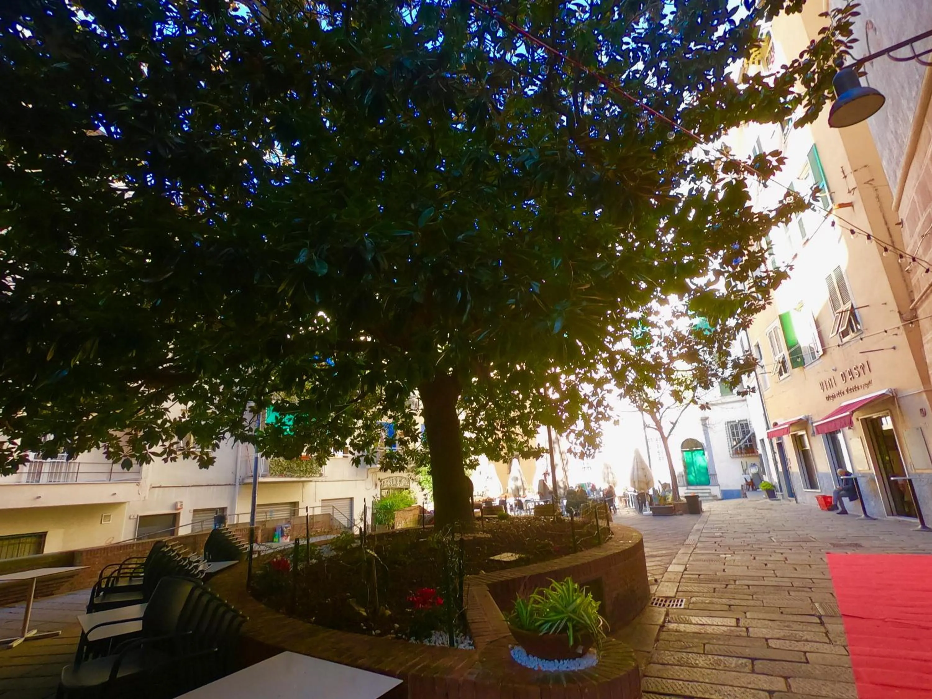 Property building in Central Savona