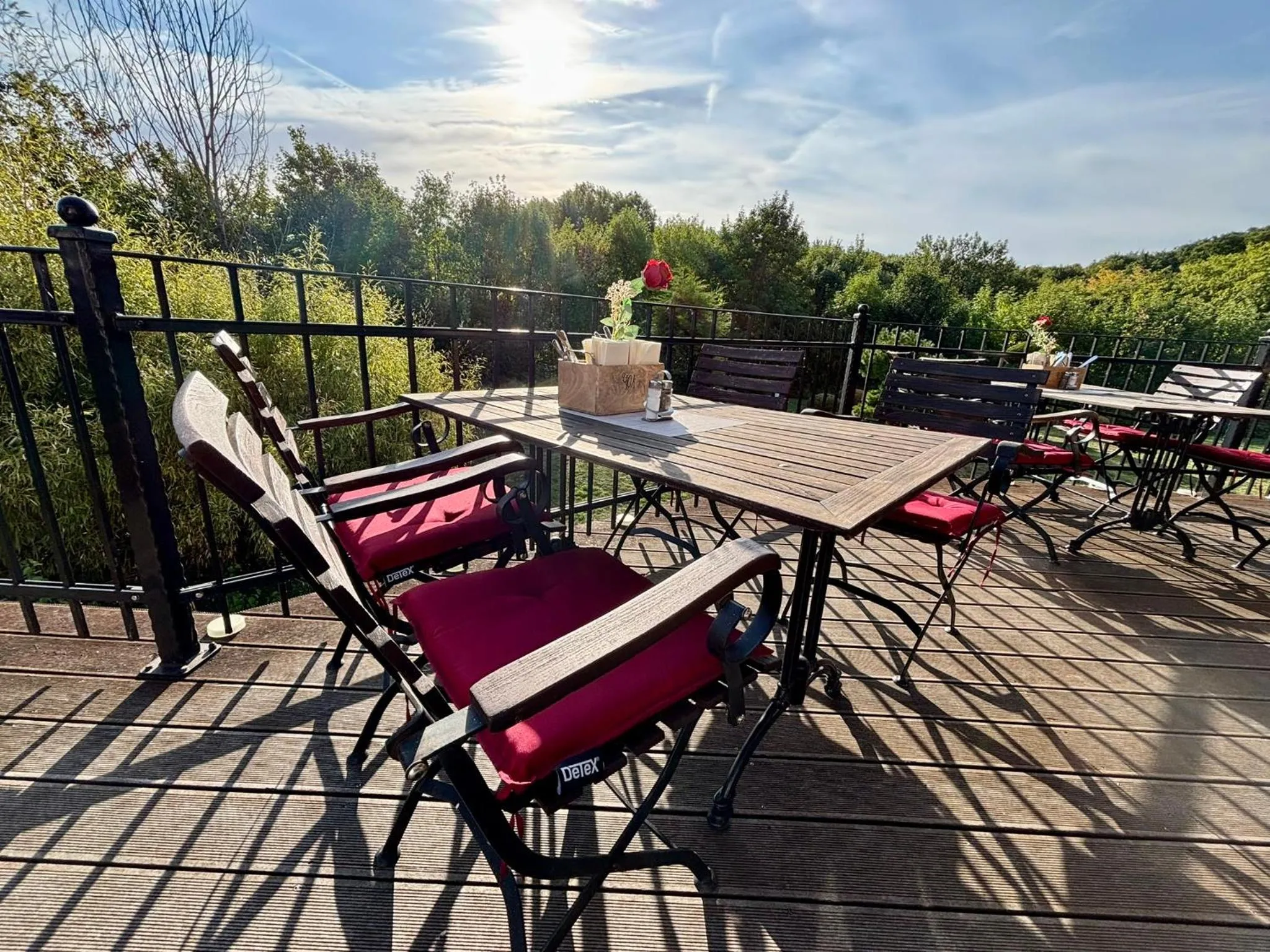 Natural landscape in REGIOHOTEL Naturresort Ilsenburg