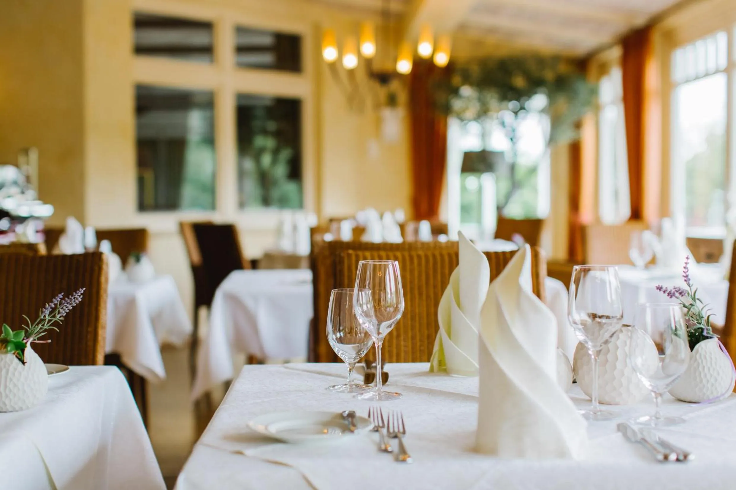 Restaurant/places to eat in REGIOHOTEL Naturresort Ilsenburg