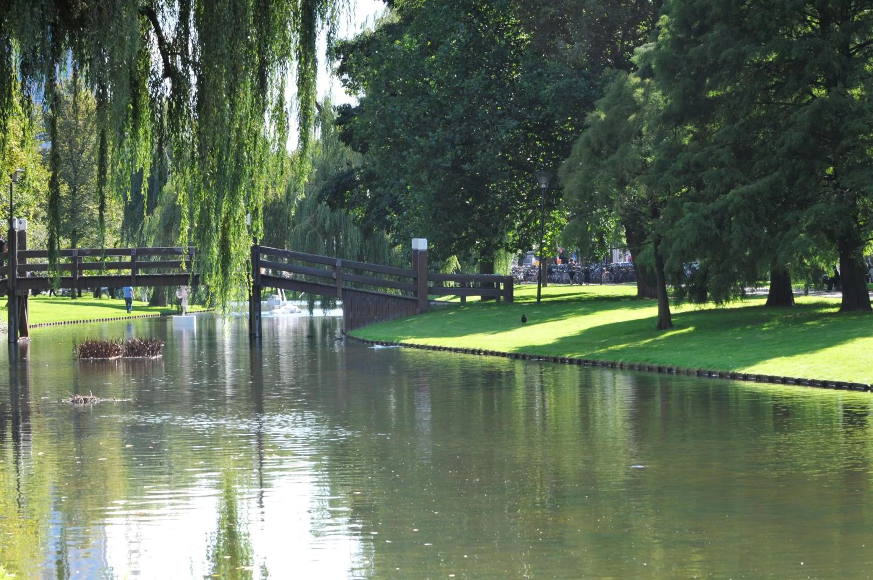 Area and facilities in Hotel Bienvenue