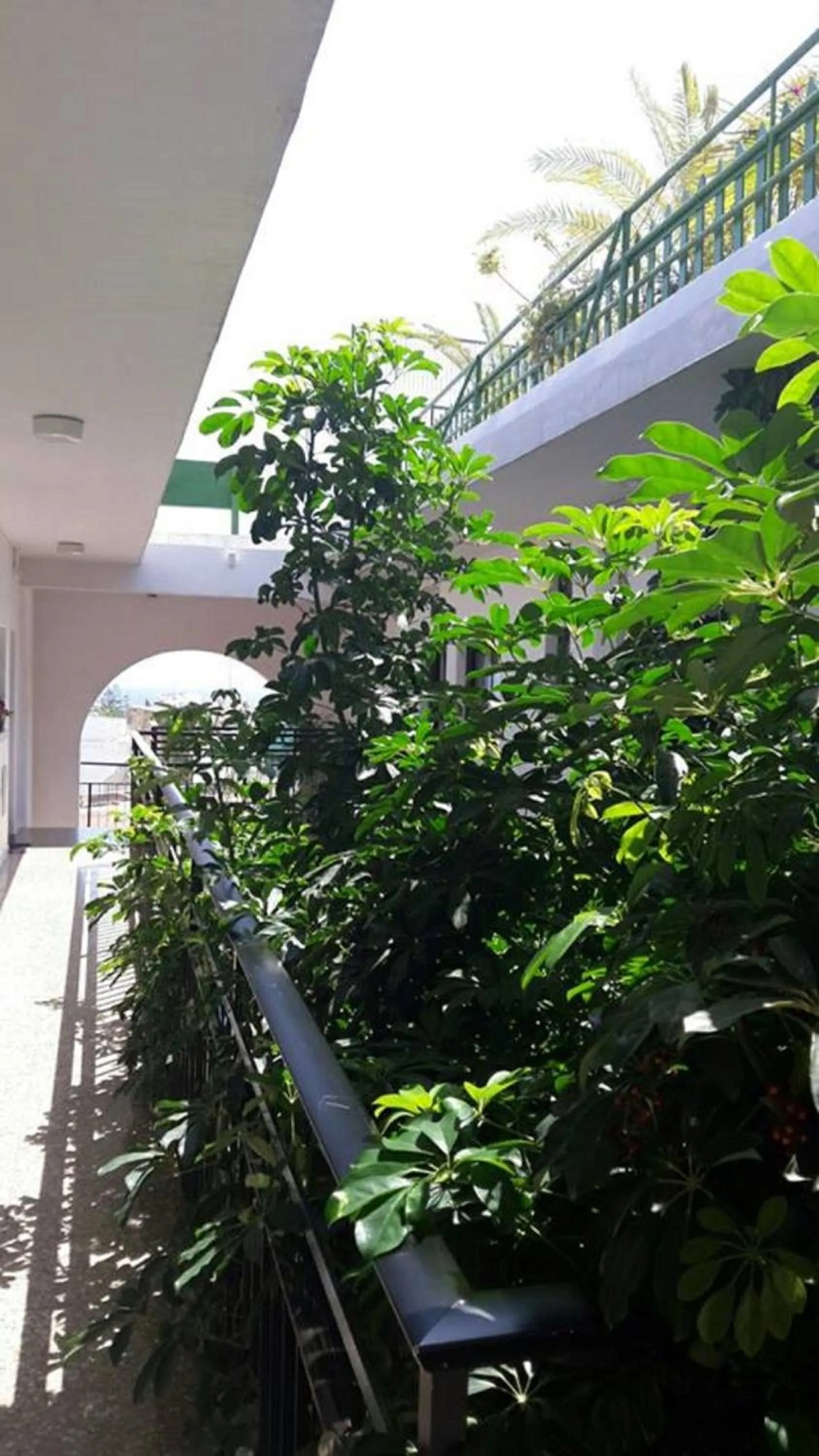 Garden in Myriama Apartments