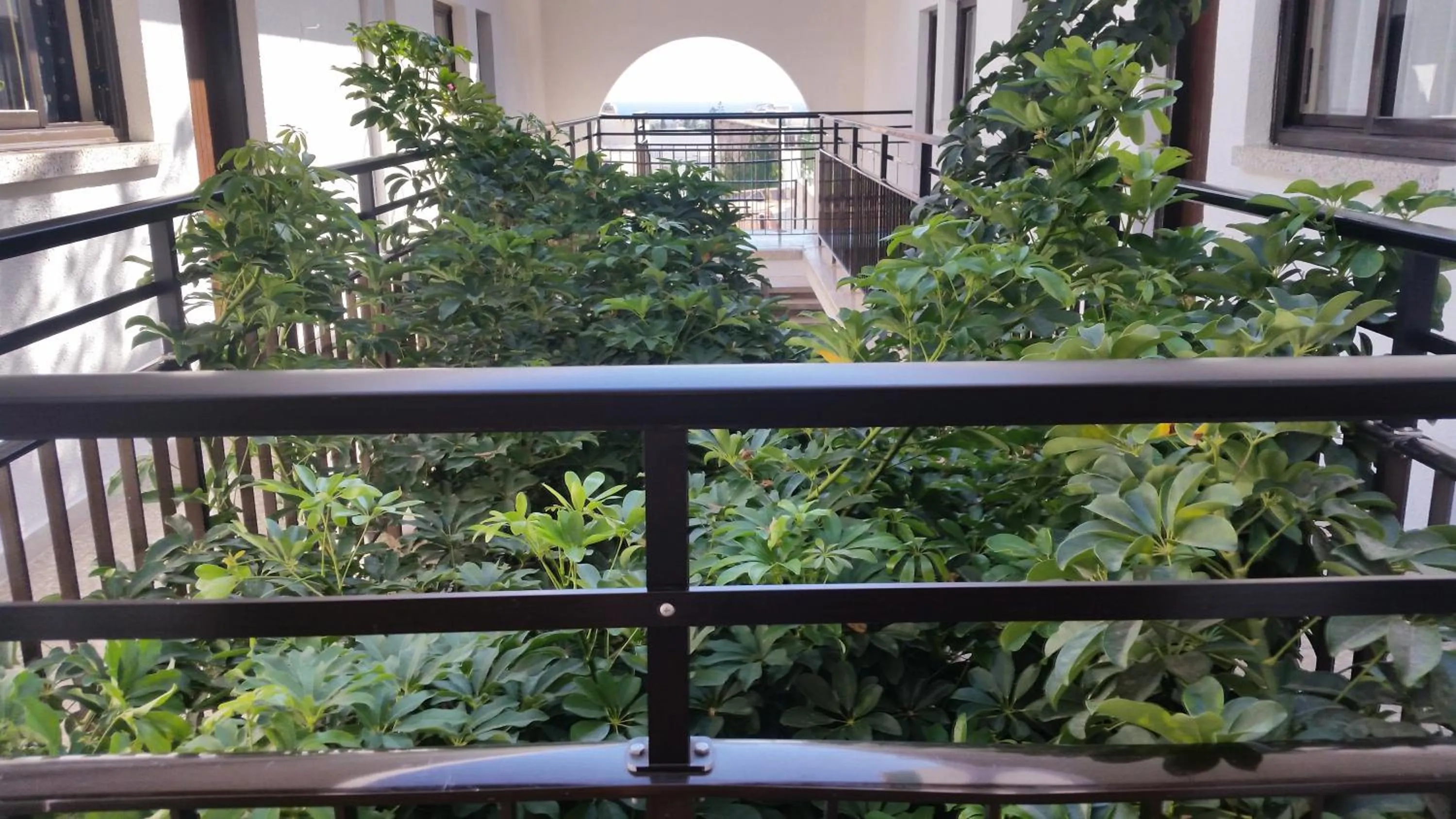 View (from property/room) in Myriama Apartments