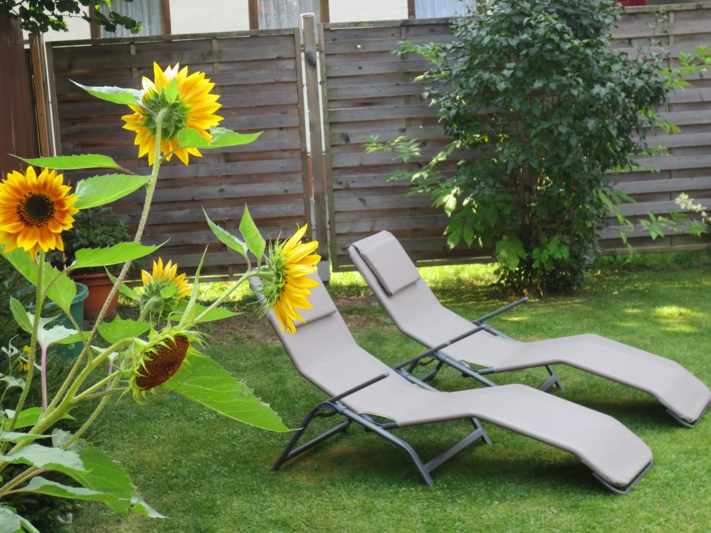 Garden in Hotel Alp Inn - Chiemgaukarte inclusive