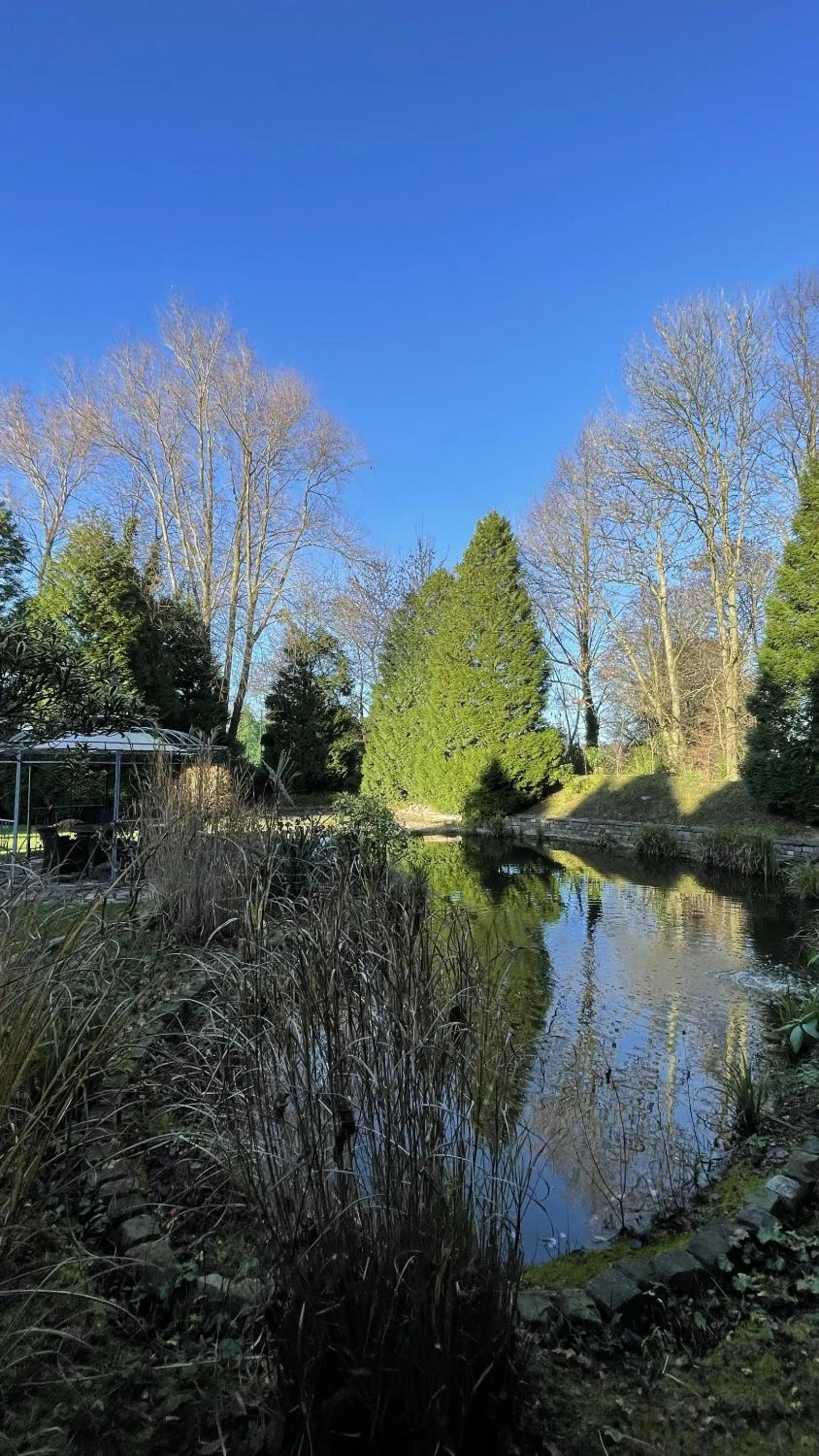 Garden in Hotel Haus Gimken