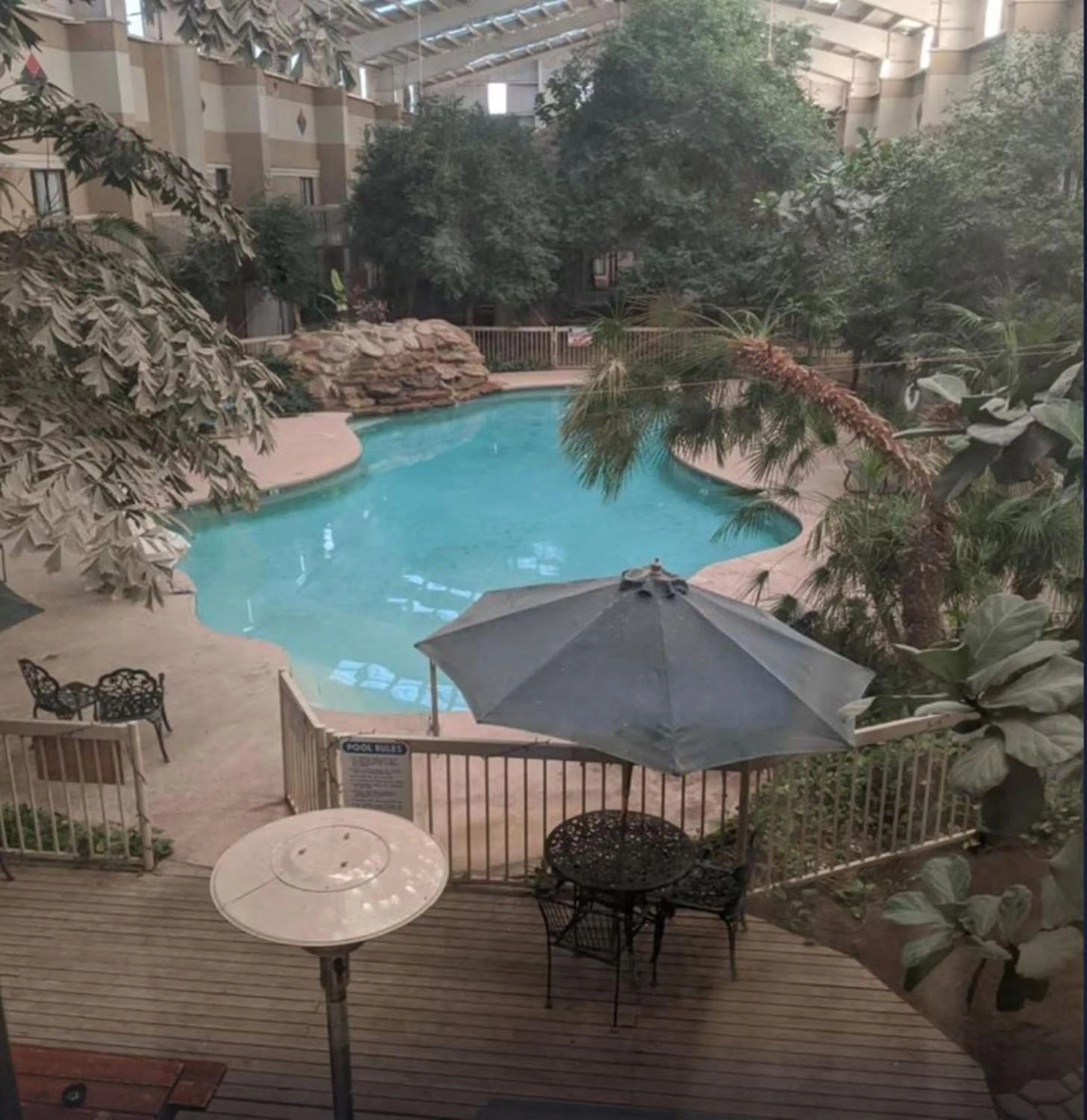 Garden in Atrium Inn