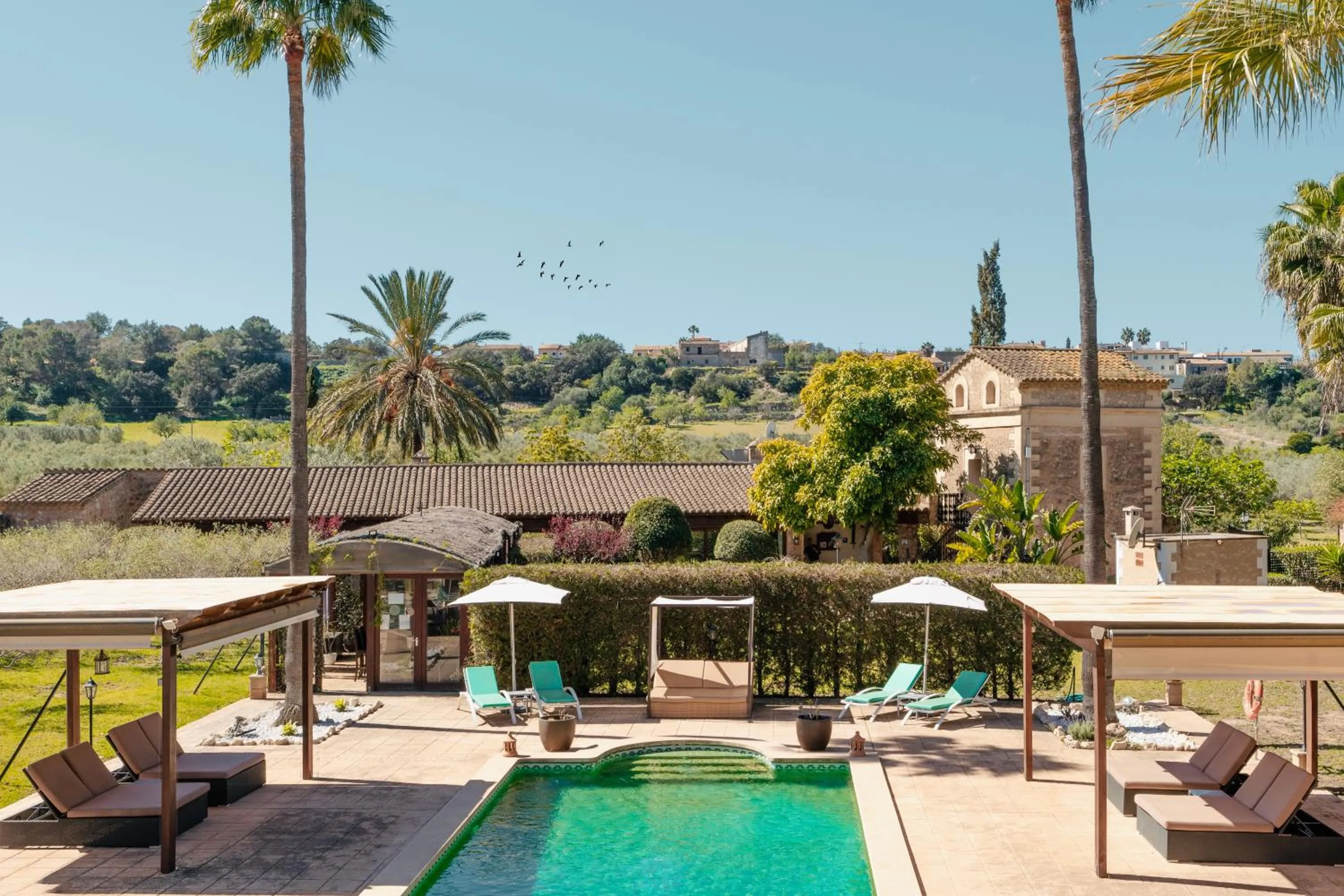 Swimming pool in S'Hort de Son Caulelles - Adults Only