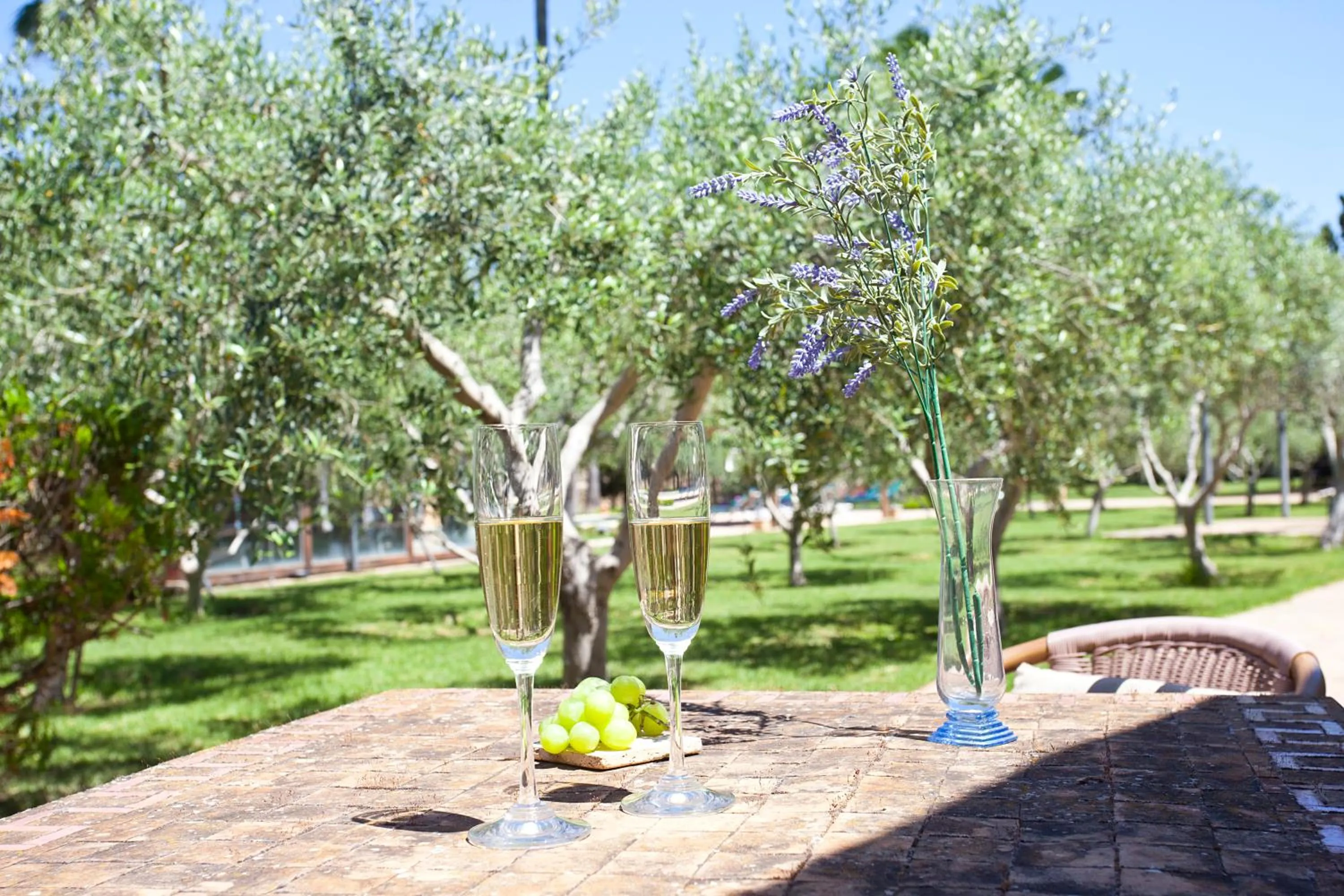 Garden view in S'Hort de Son Caulelles - Adults Only