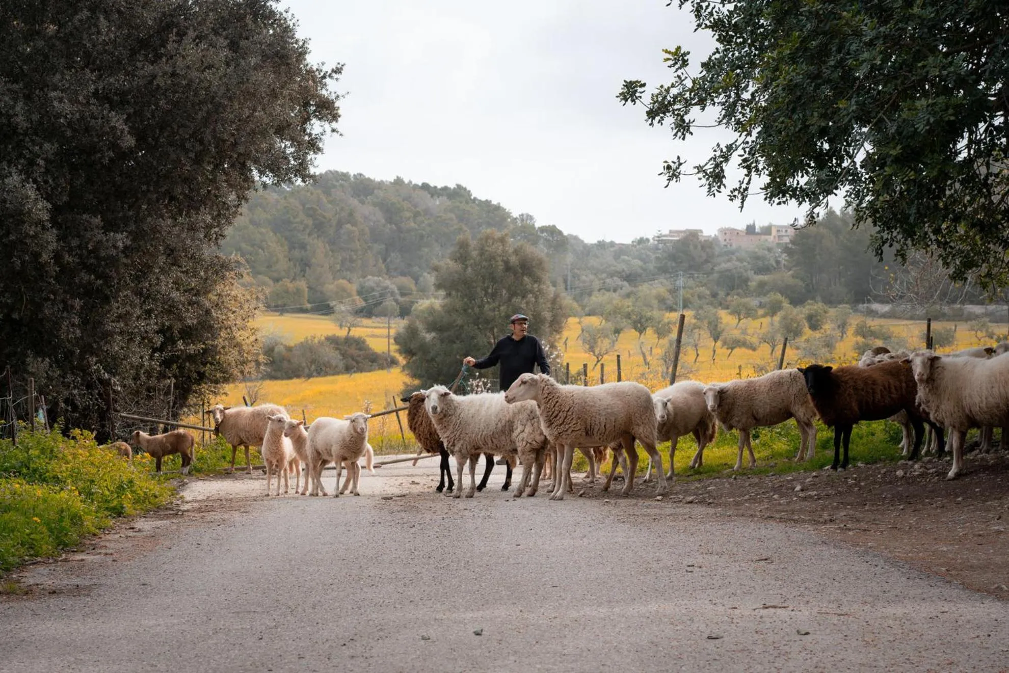 Mountain view in S'Hort de Son Caulelles - Adults Only