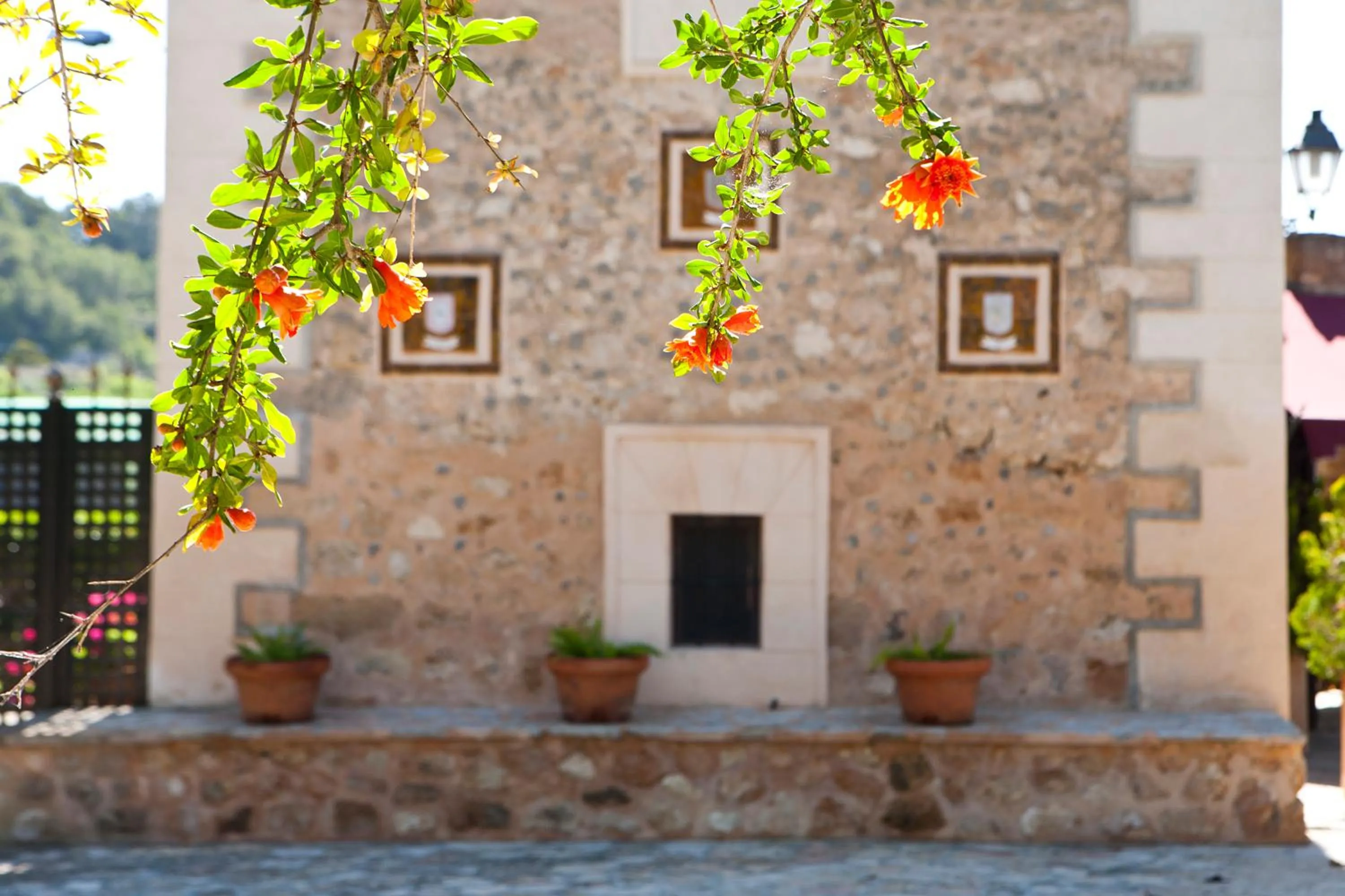 Property building in S'Hort de Son Caulelles - Adults Only