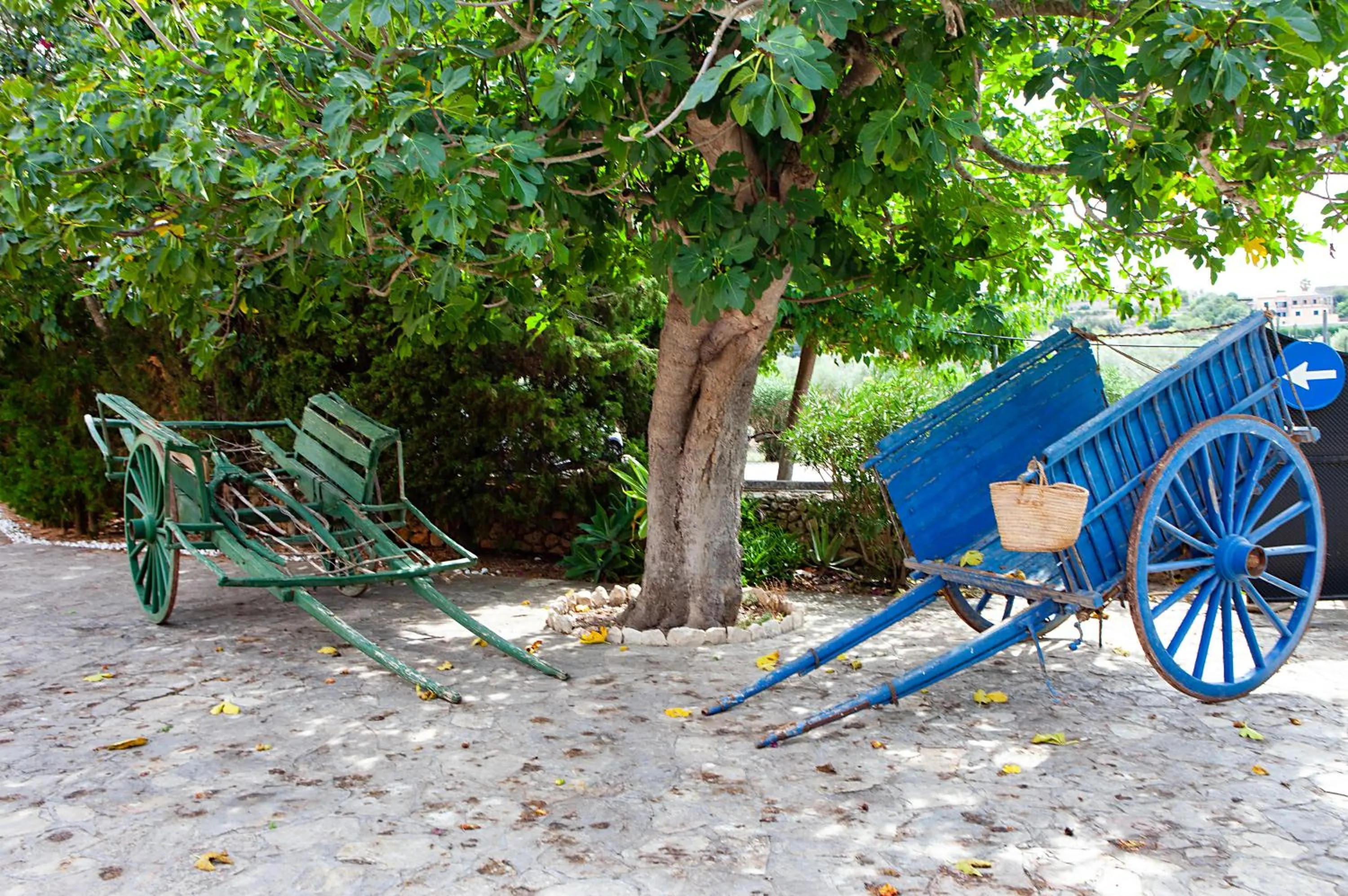Patio in S'Hort de Son Caulelles - Adults Only