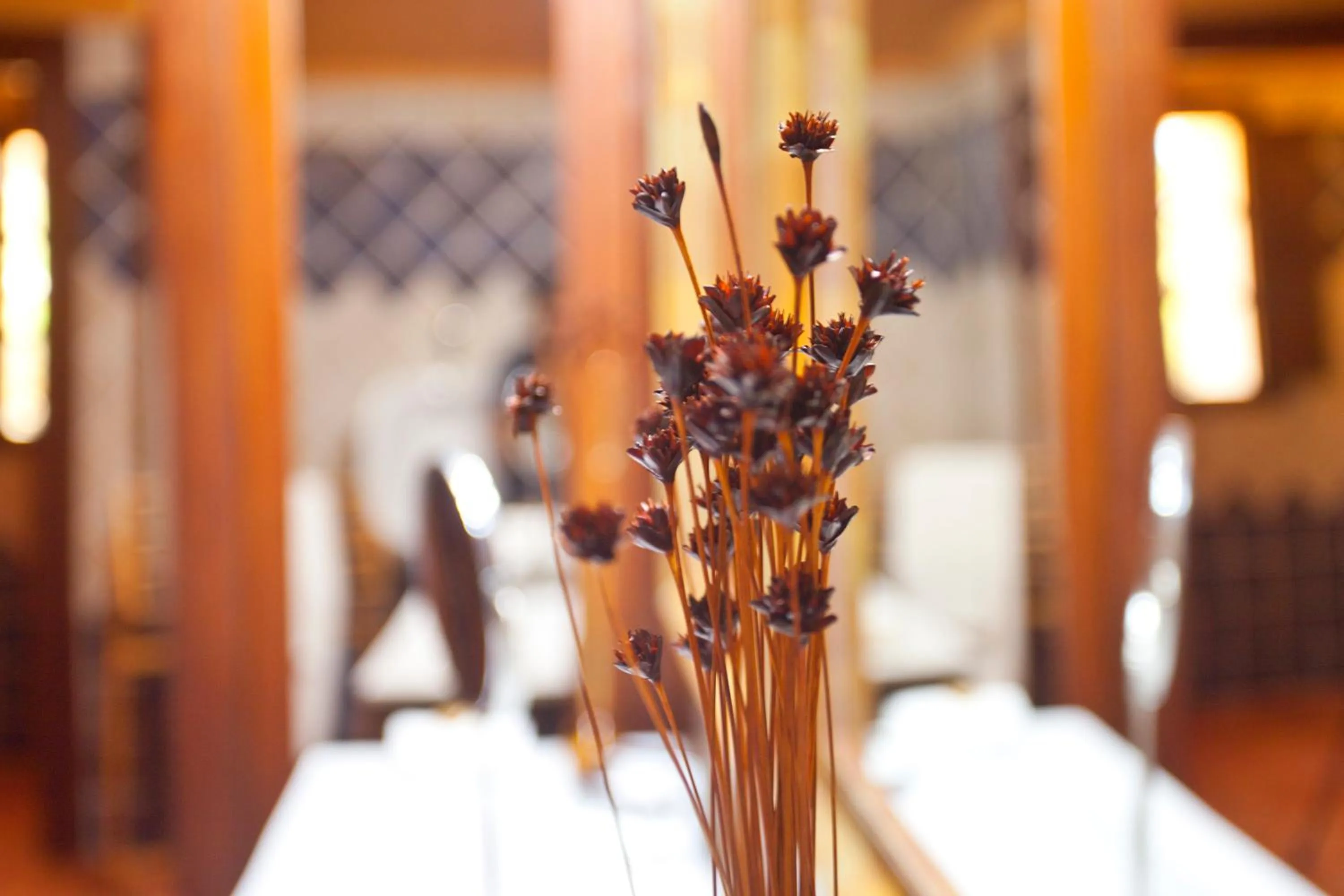 Living room, Bed in S'Hort de Son Caulelles - Adults Only