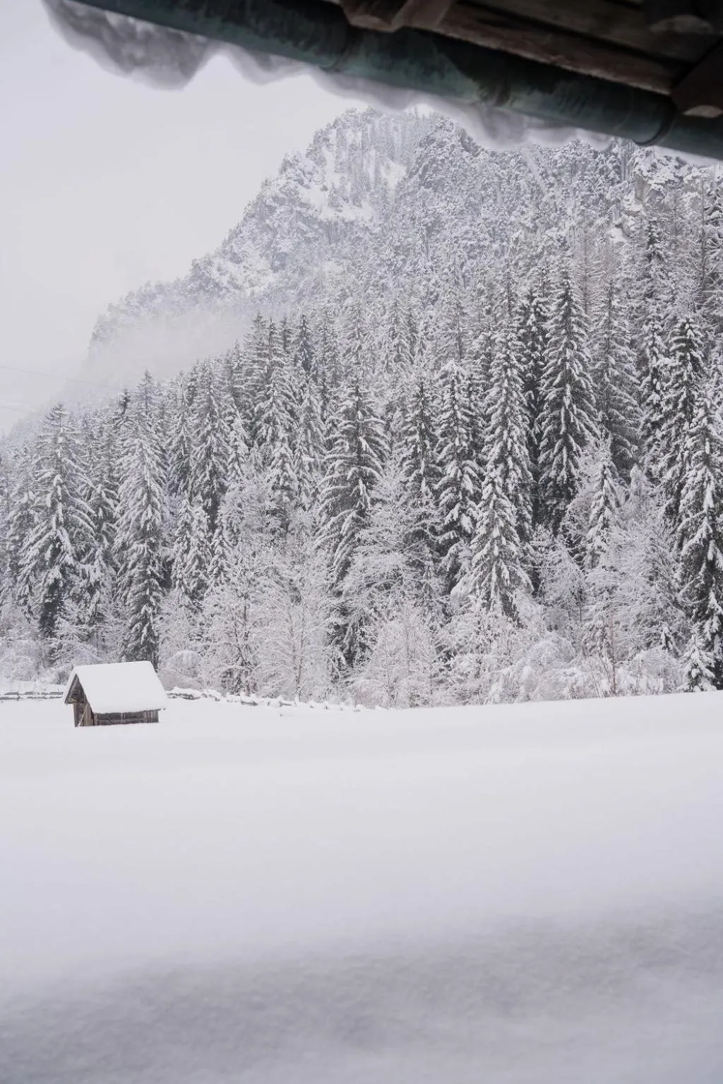 Frühstückspension Auer - Haus Kargl
