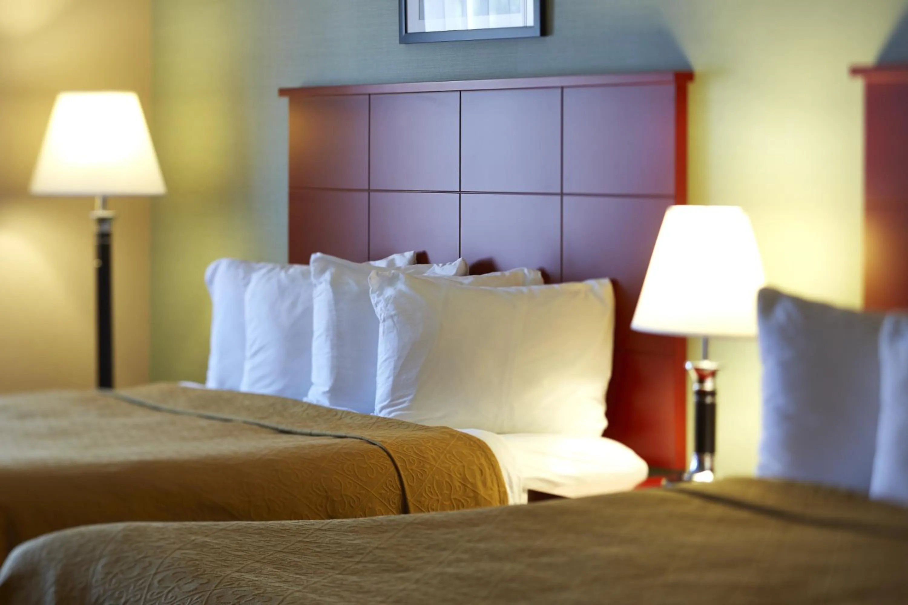 Bedroom, Bed in Quality Inn Southampton