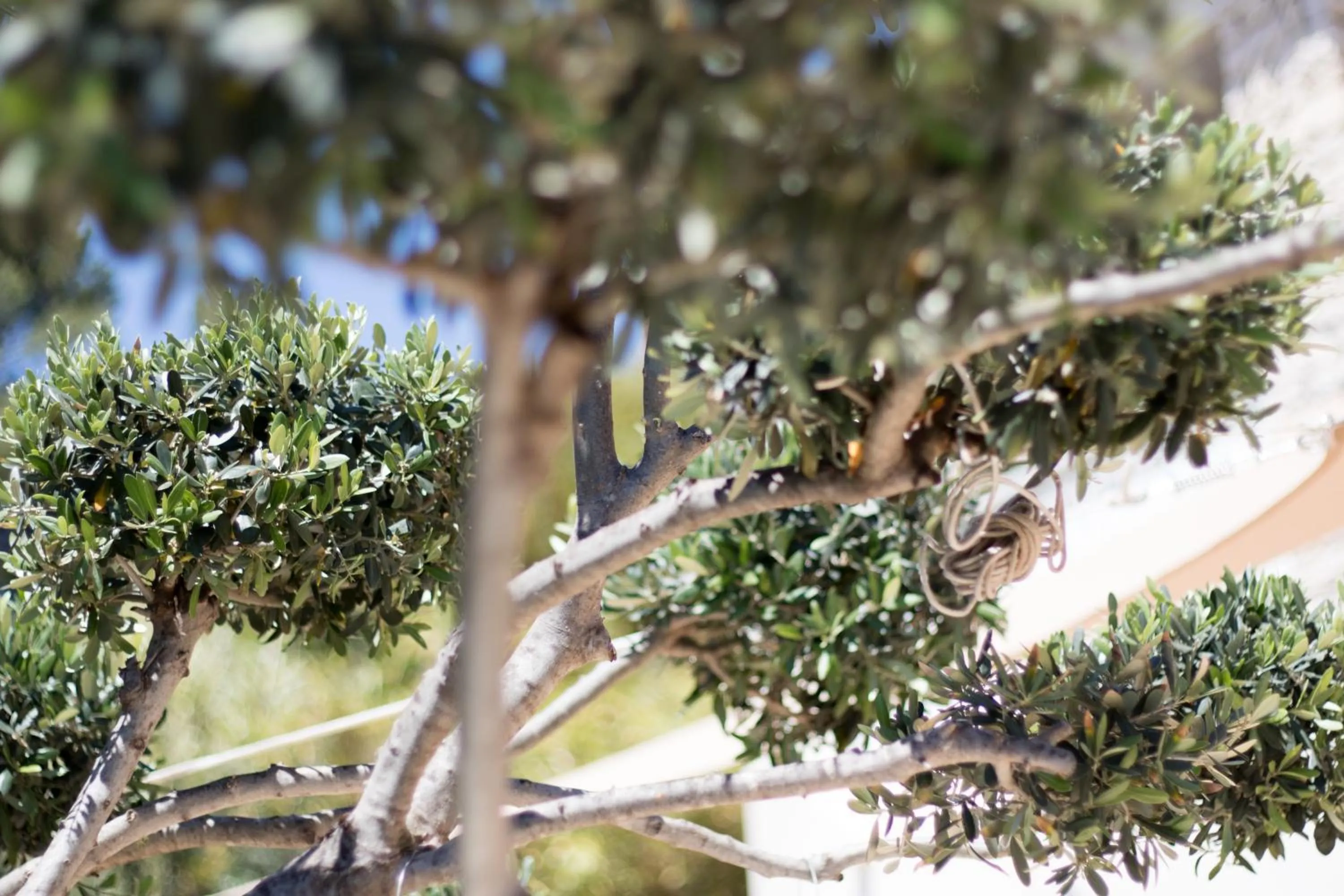 Decorative detail in Les Chambres d'Hôtes du Grand Mornas