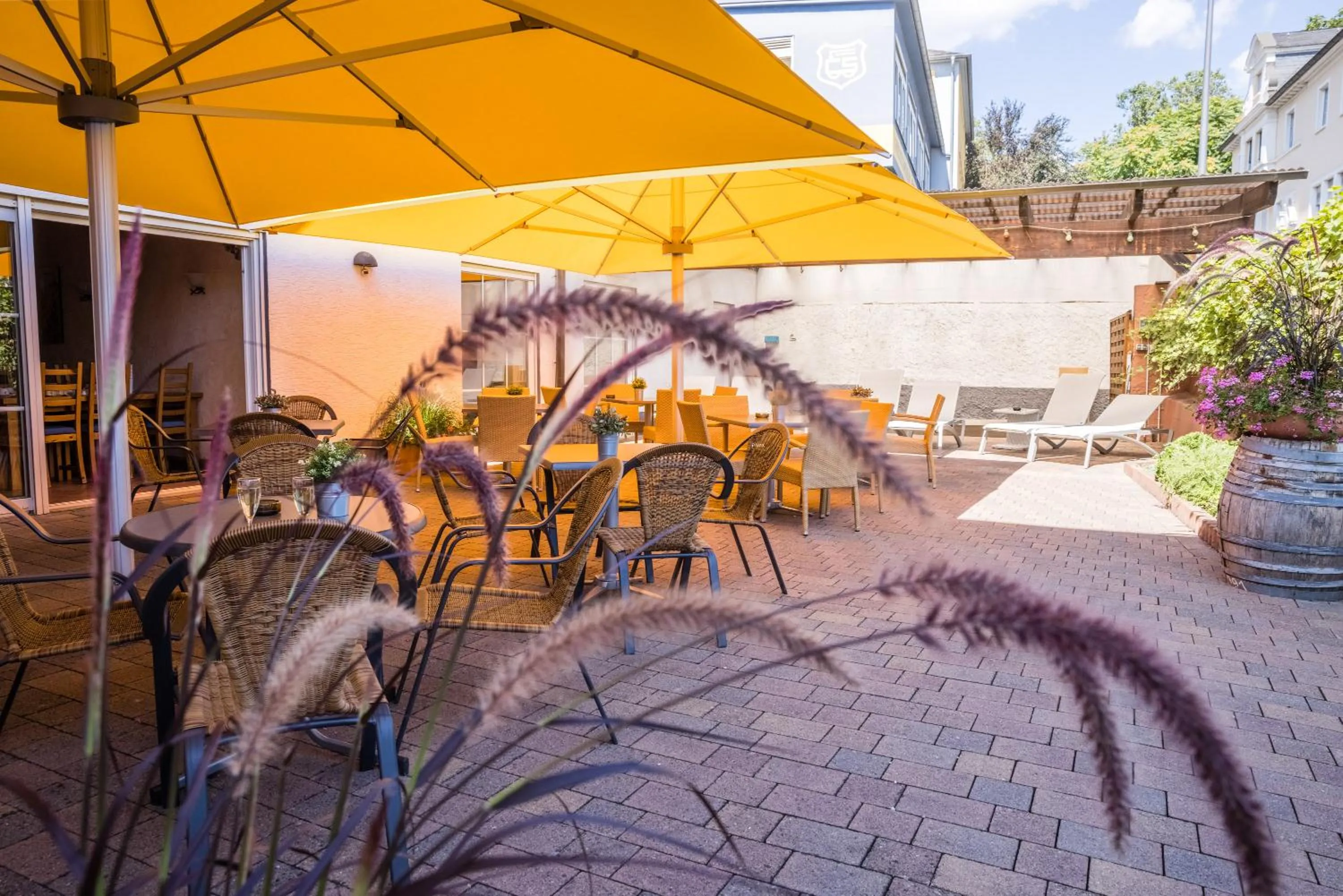 Garden in Rheinhotel Rüdesheim - Wellness