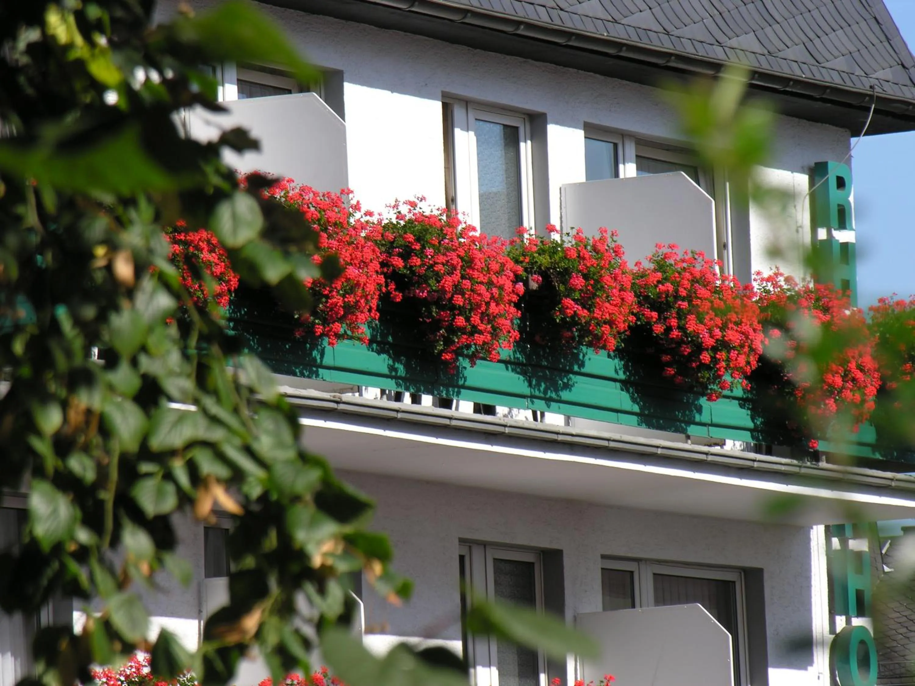 Day in Rheinhotel Rüdesheim - Wellness