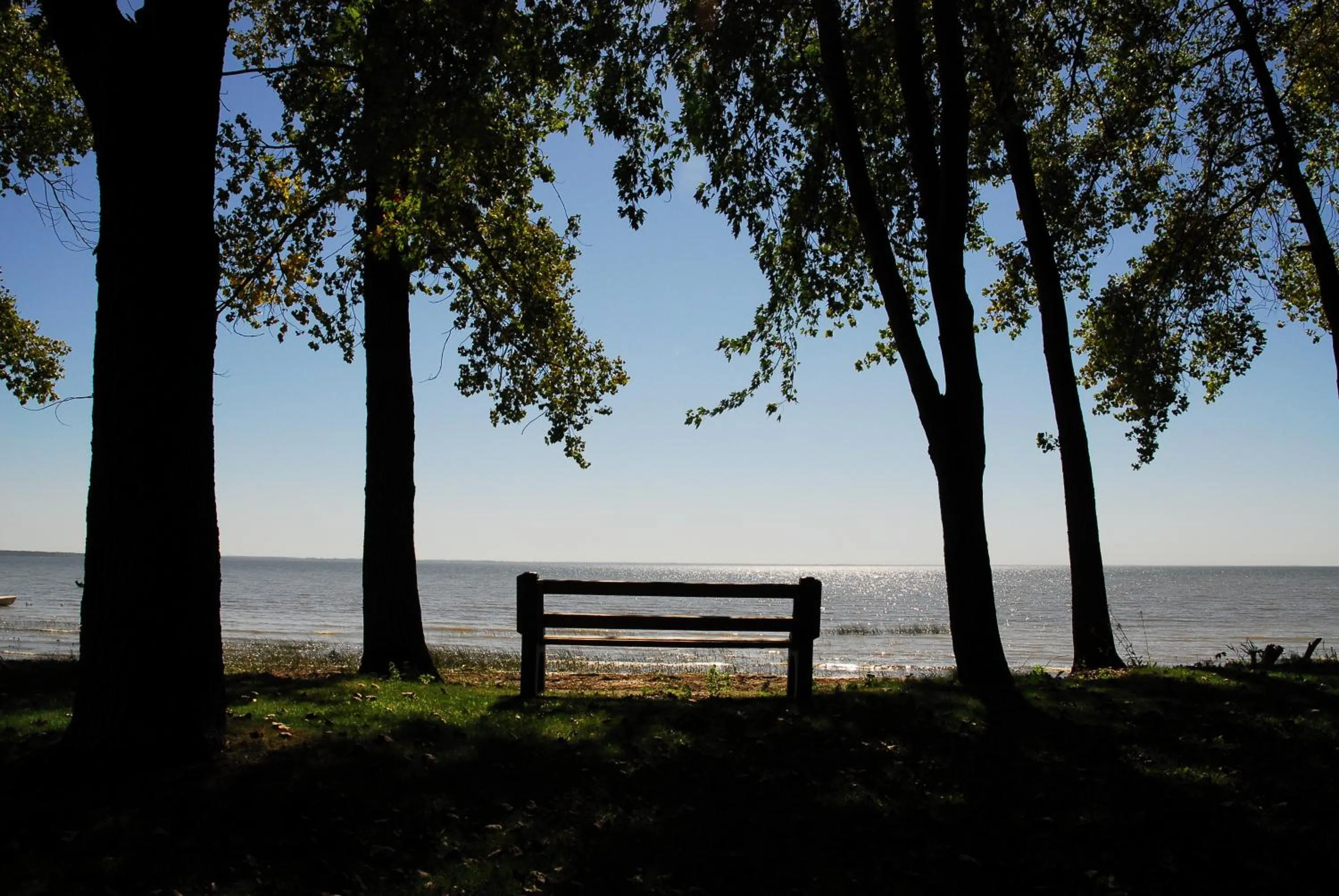 On site in Chalets Multivoile 4 Saisons