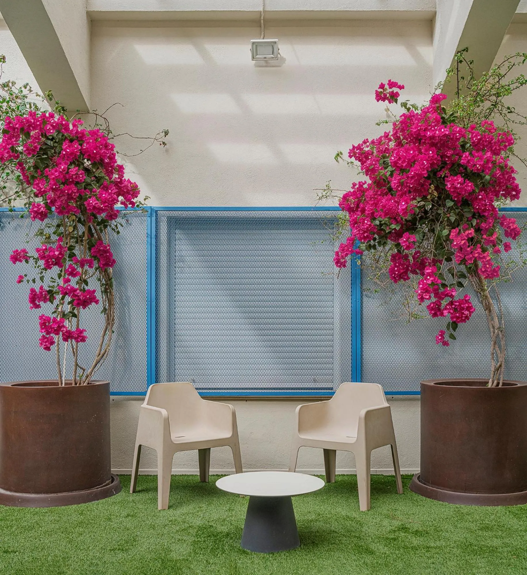 Off site in Colegio Mayor Resa La Concepción