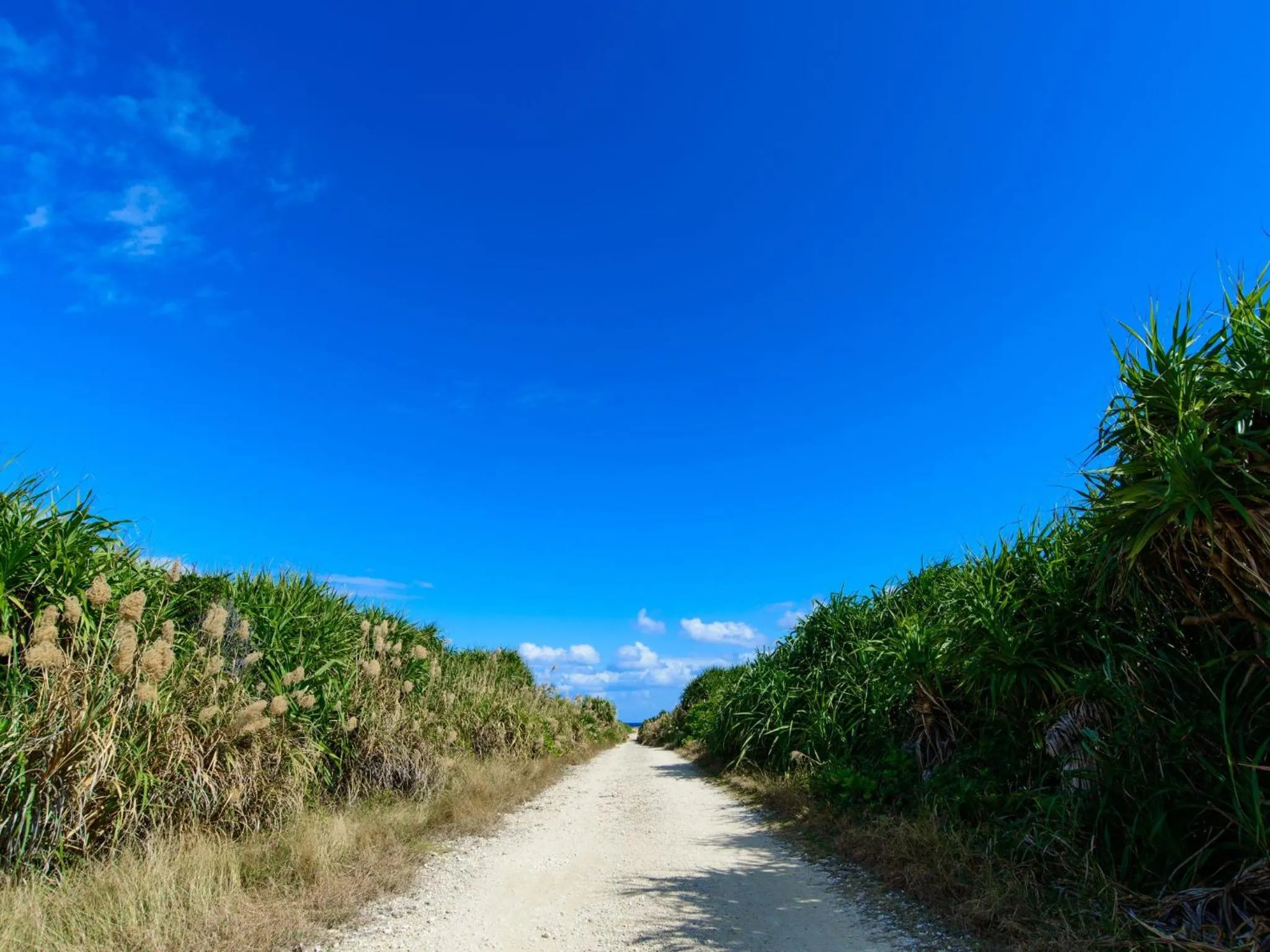 Nearby landmark in GLORY ISLAND OKINAWA Yabusachi Resort