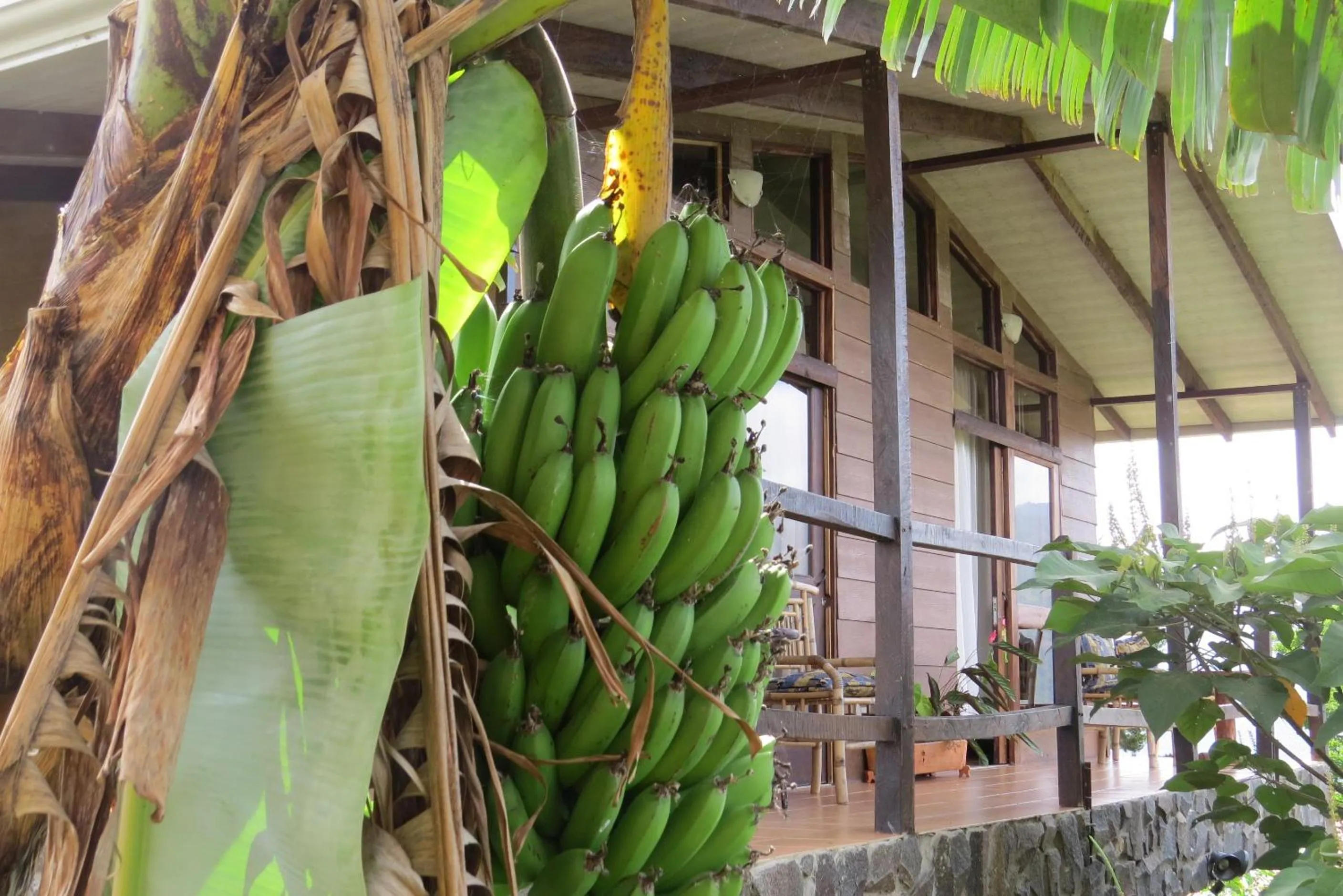 Garden in Rinconcito Verde