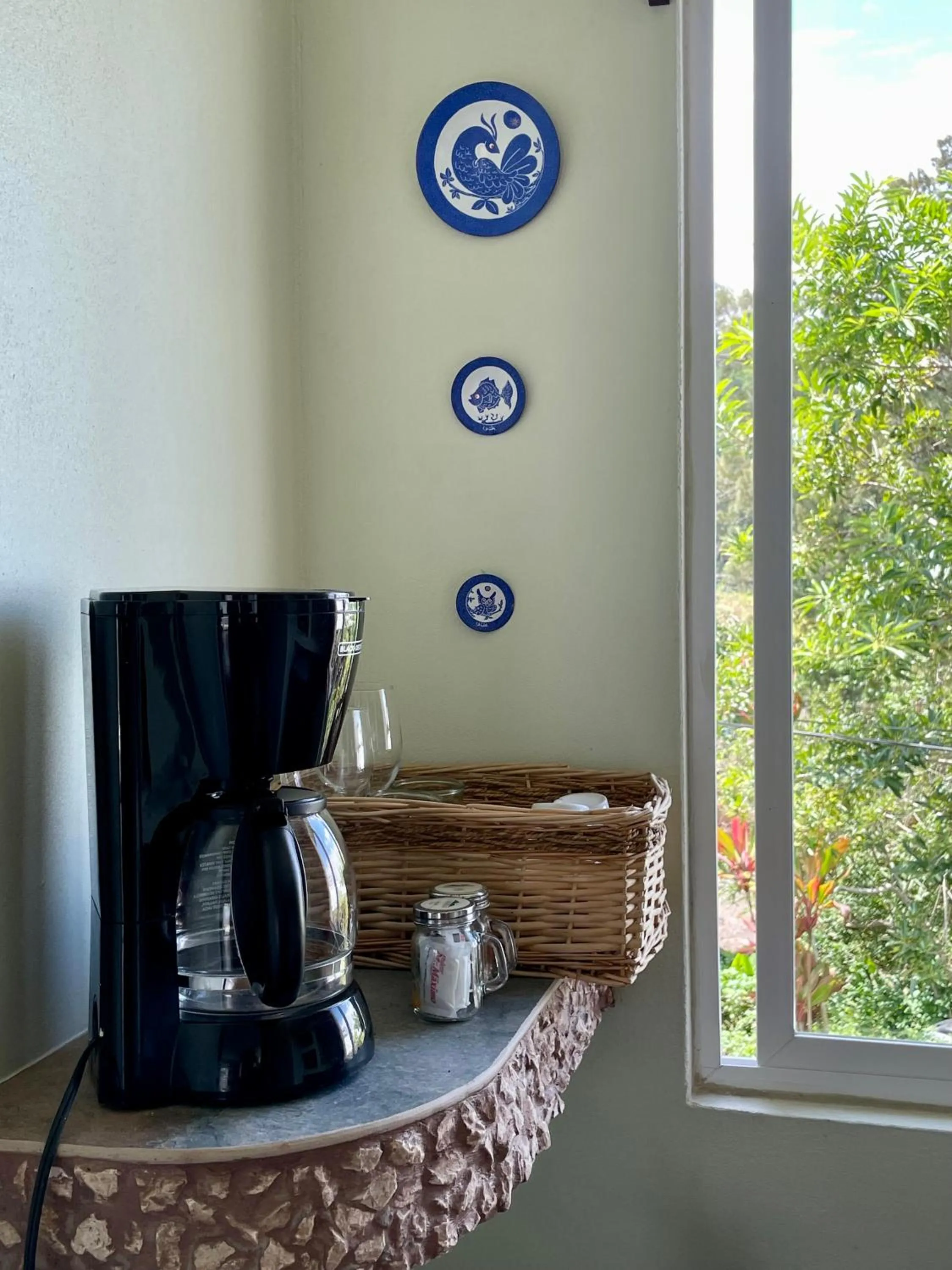 Garden view in Rinconcito Verde