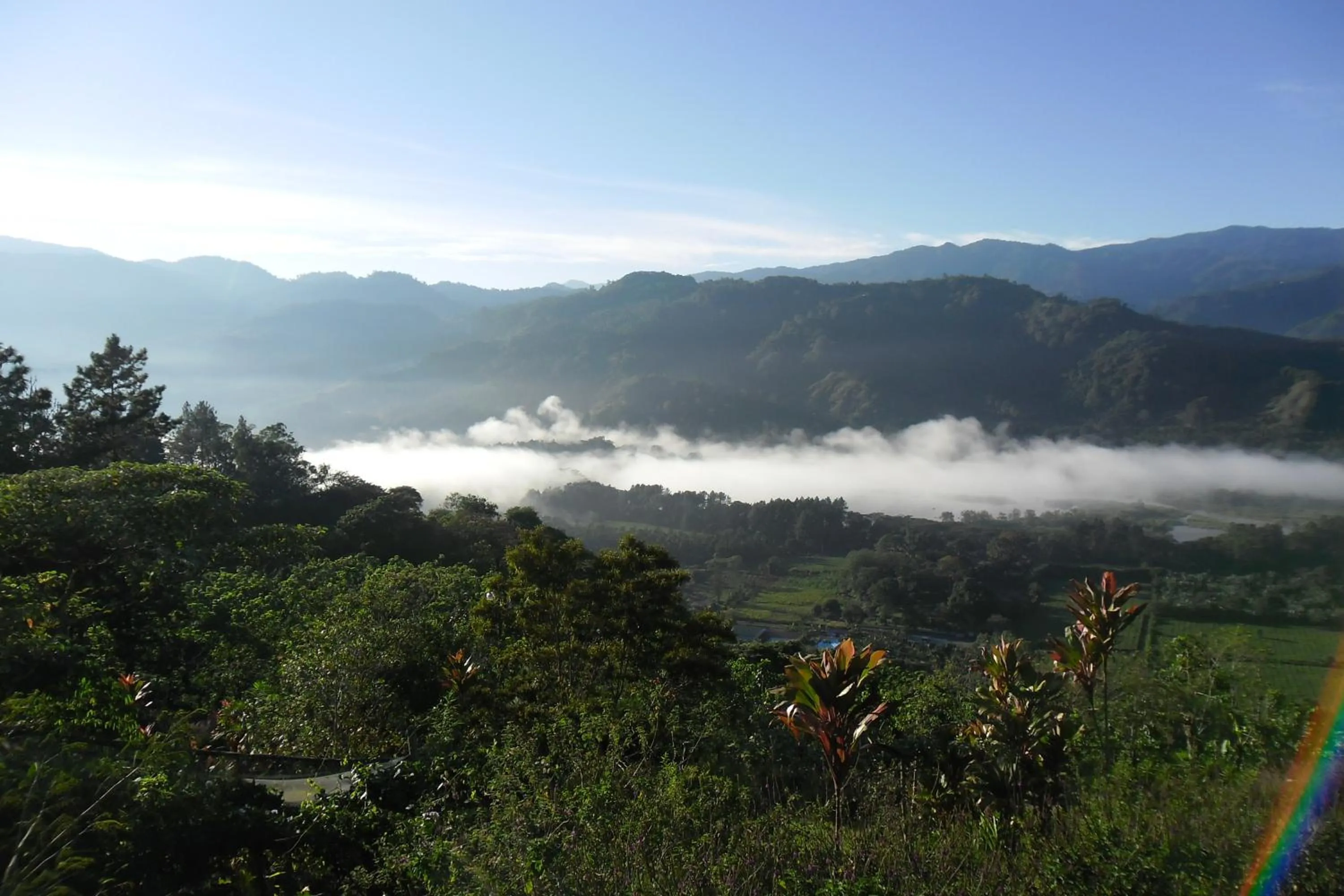Bird's eye view in Rinconcito Verde
