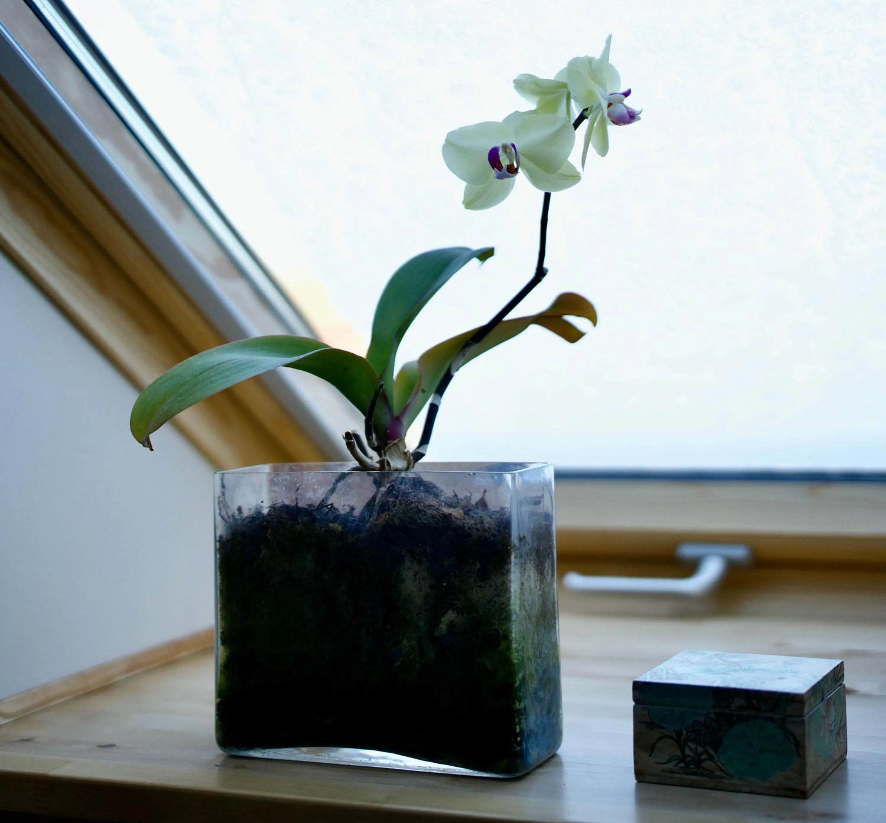 Den Japanske Have B & B