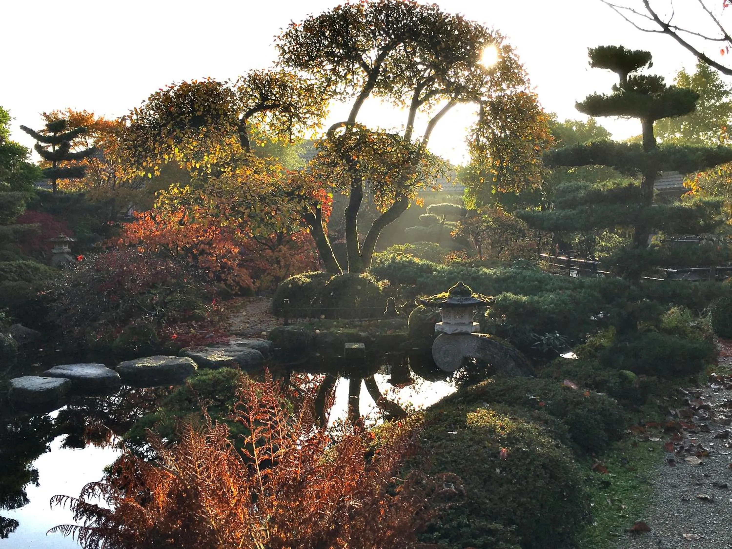 Den Japanske Have B & B