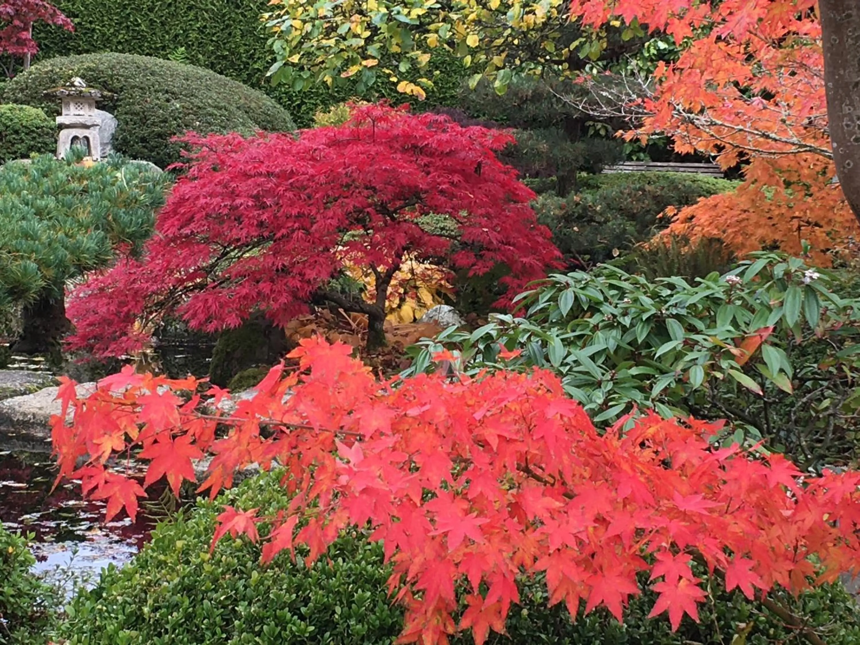 Den Japanske Have B & B