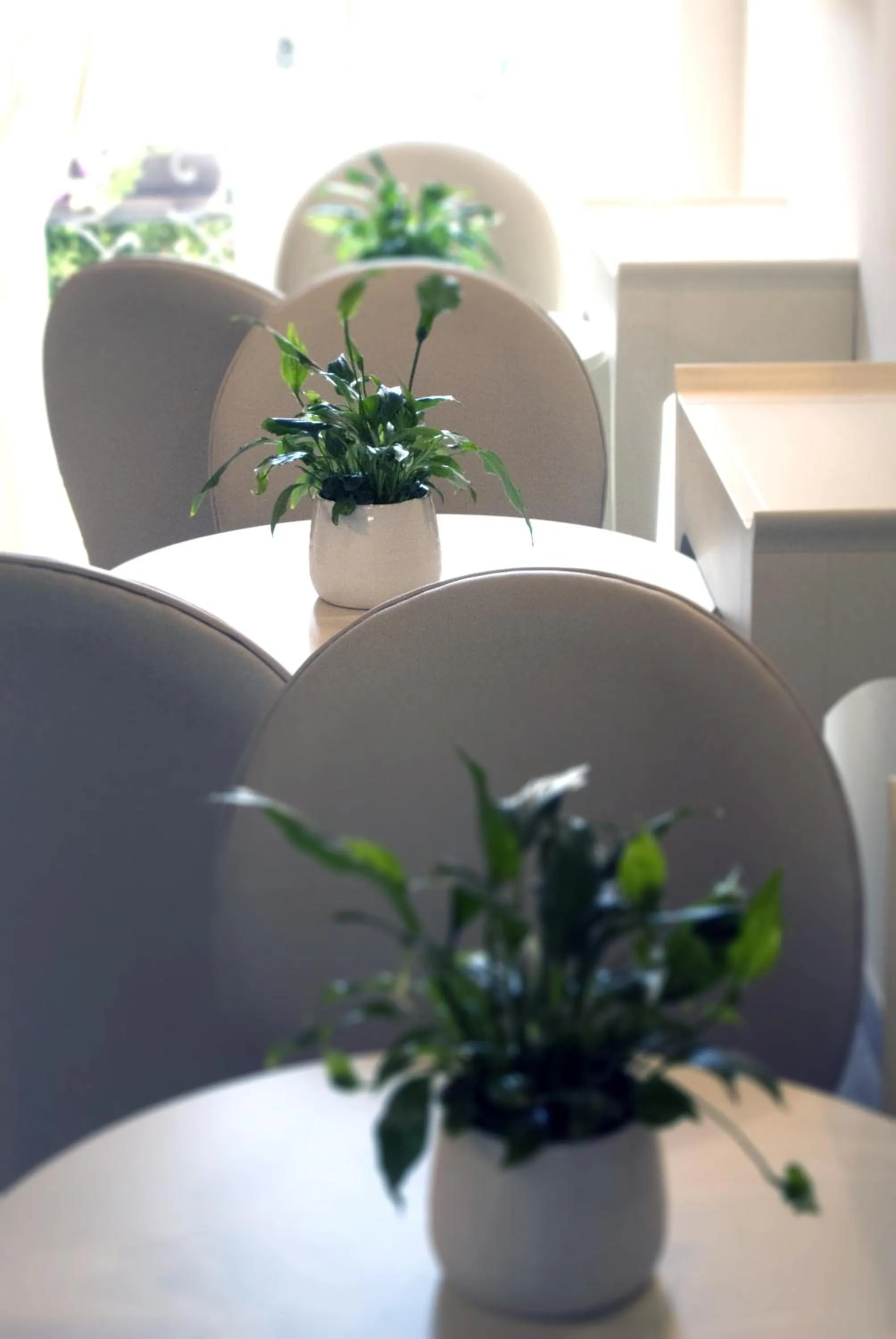 Other in B&B Verona Centro