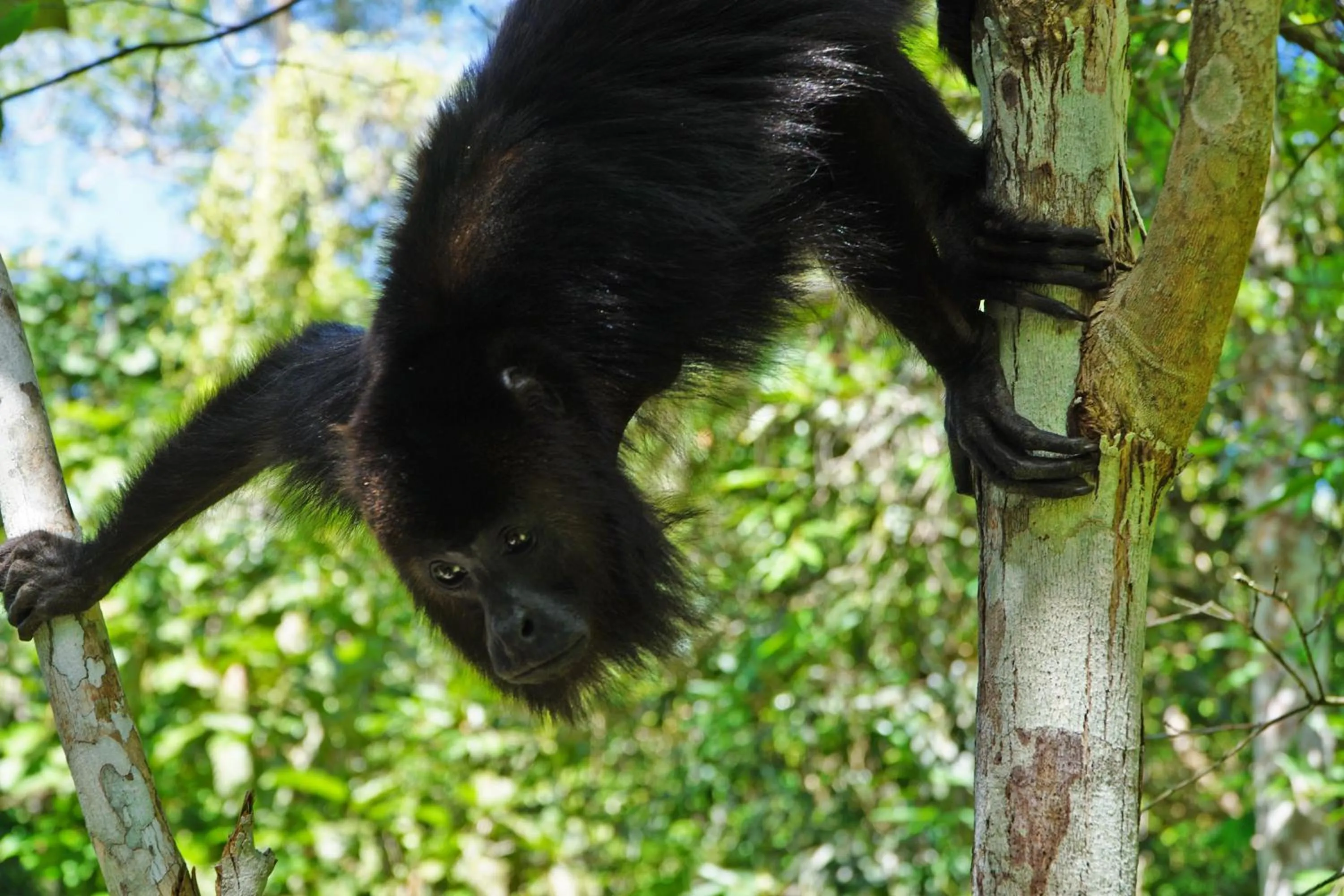 Nearby landmark in ABEZZA Resort And Adventure Spa