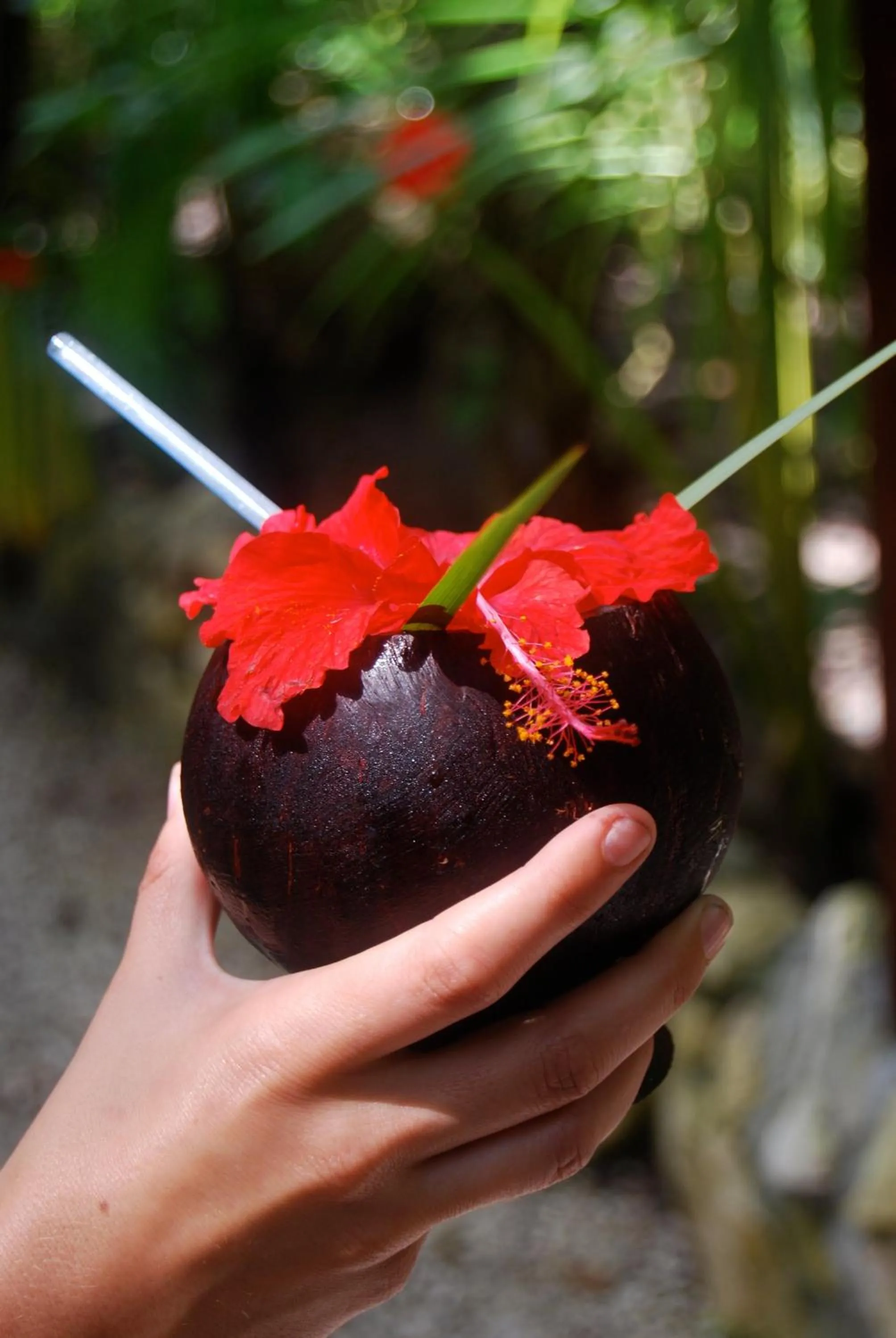 Food and drinks in ABEZZA Resort And Adventure Spa