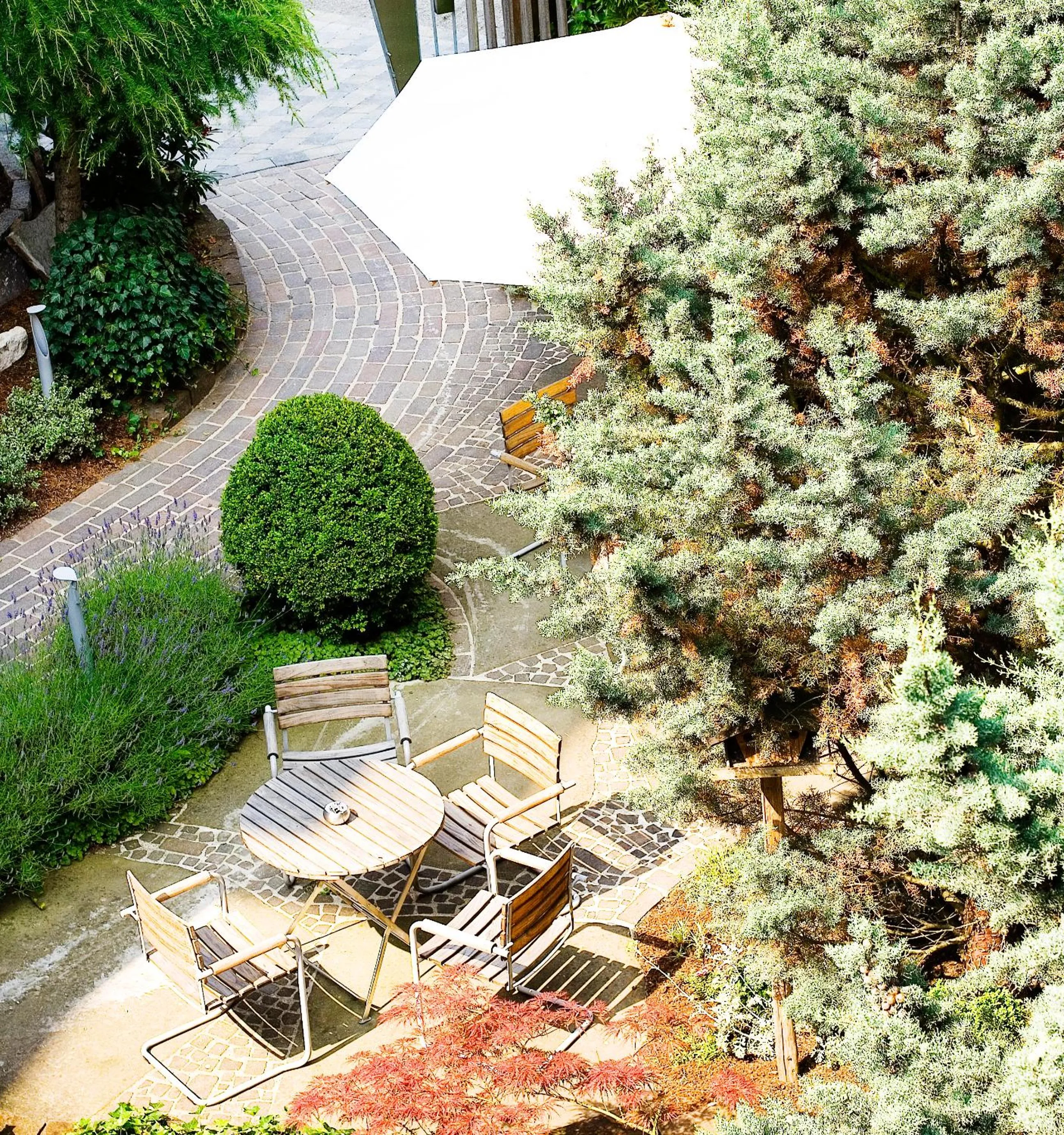 Garden in Hotel City Krone