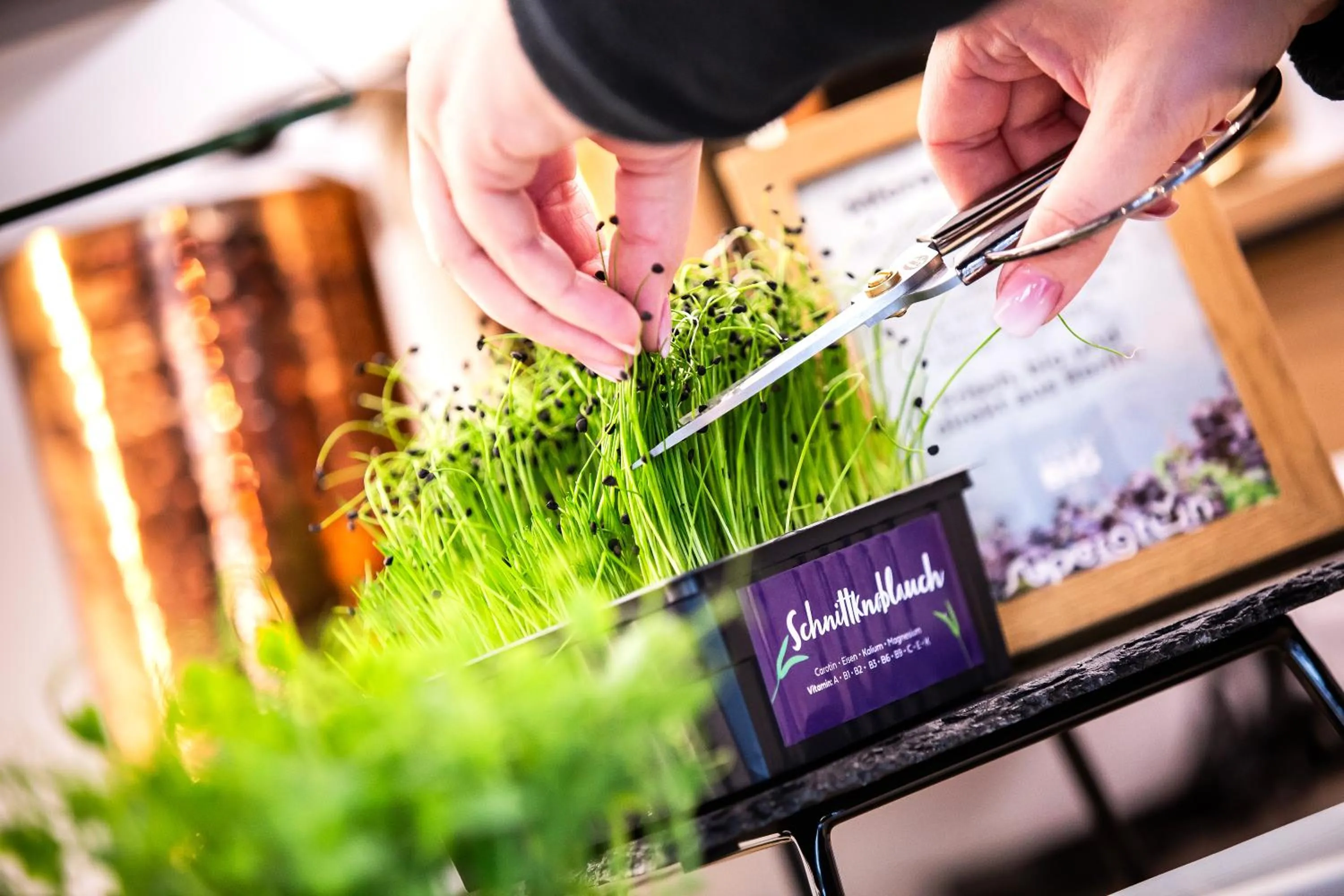 Food in CALMA Berlin Mitte