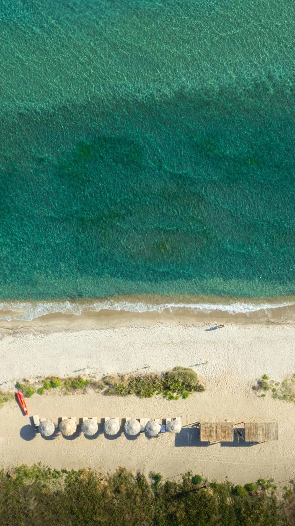 Beach in TAF Villas - Beach Resort & Tesla