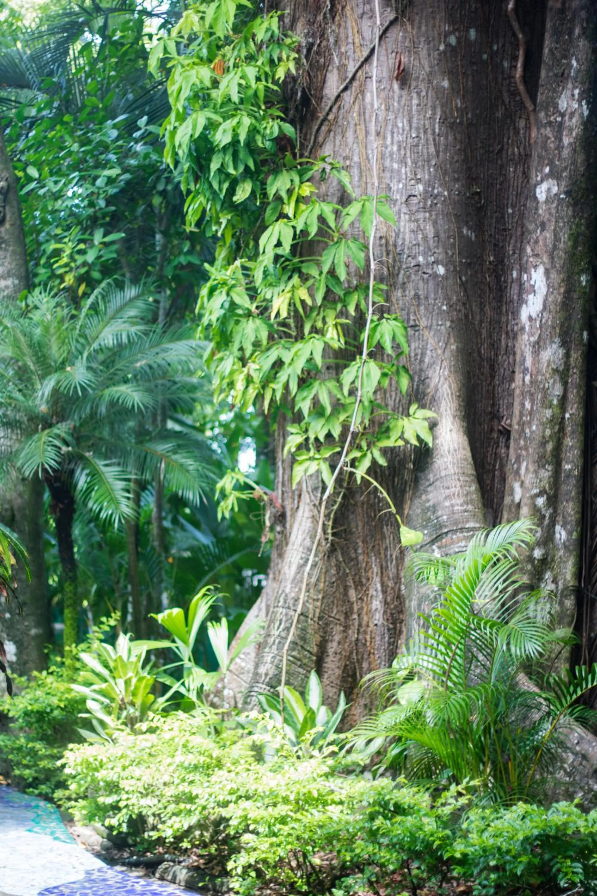 Property building in Hotel Verde Mar Direct Beach Access