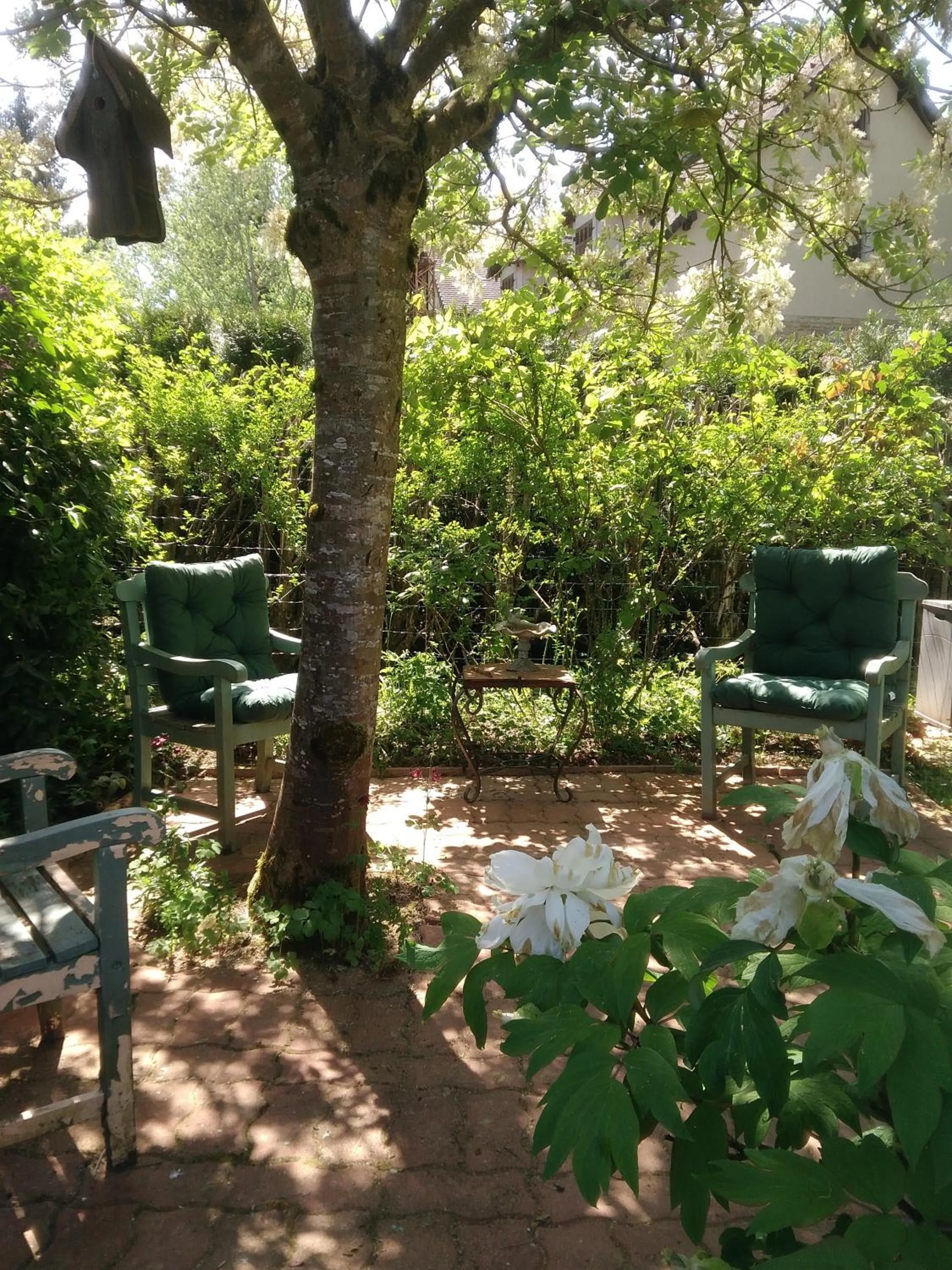 Garden in La Pie qui Chante