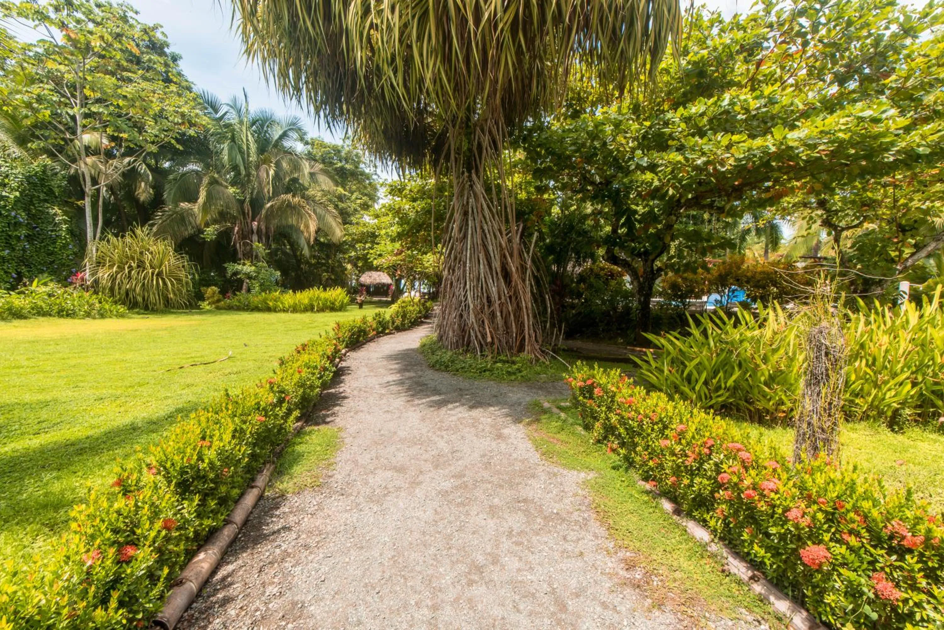 Natural landscape in Karahe Beach Hotel
