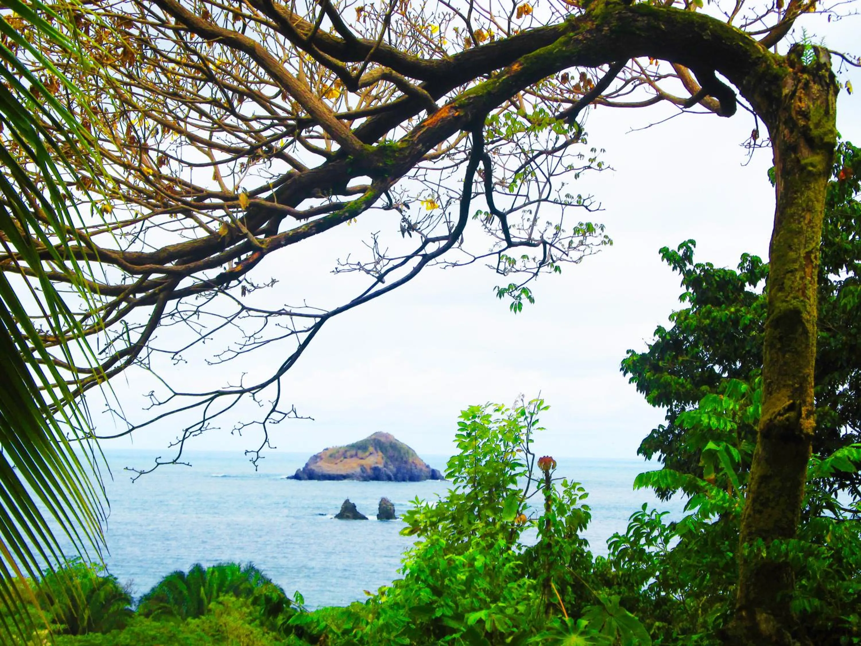 Sea view in Karahe Beach Hotel