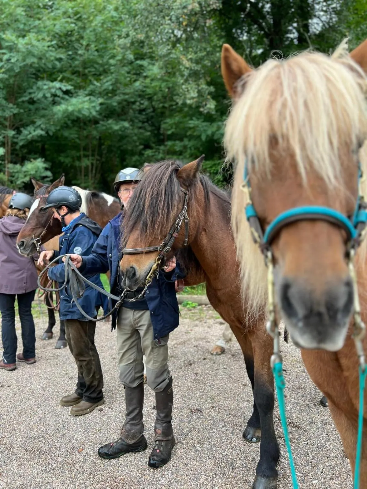 Hotel Restaurant Litermont