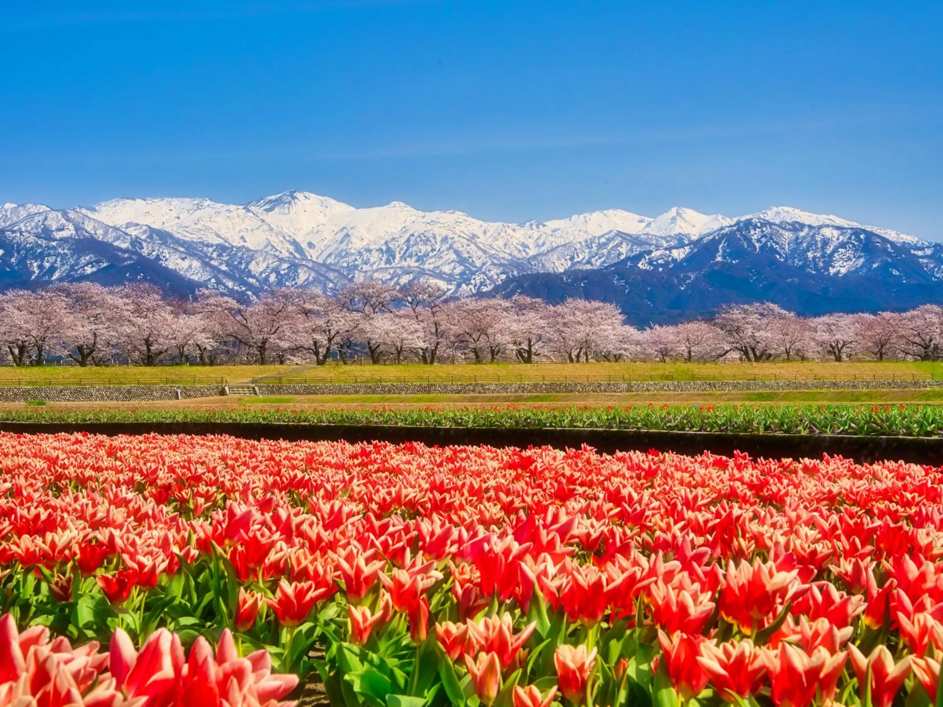 Nearby landmark in Shiroyamasou