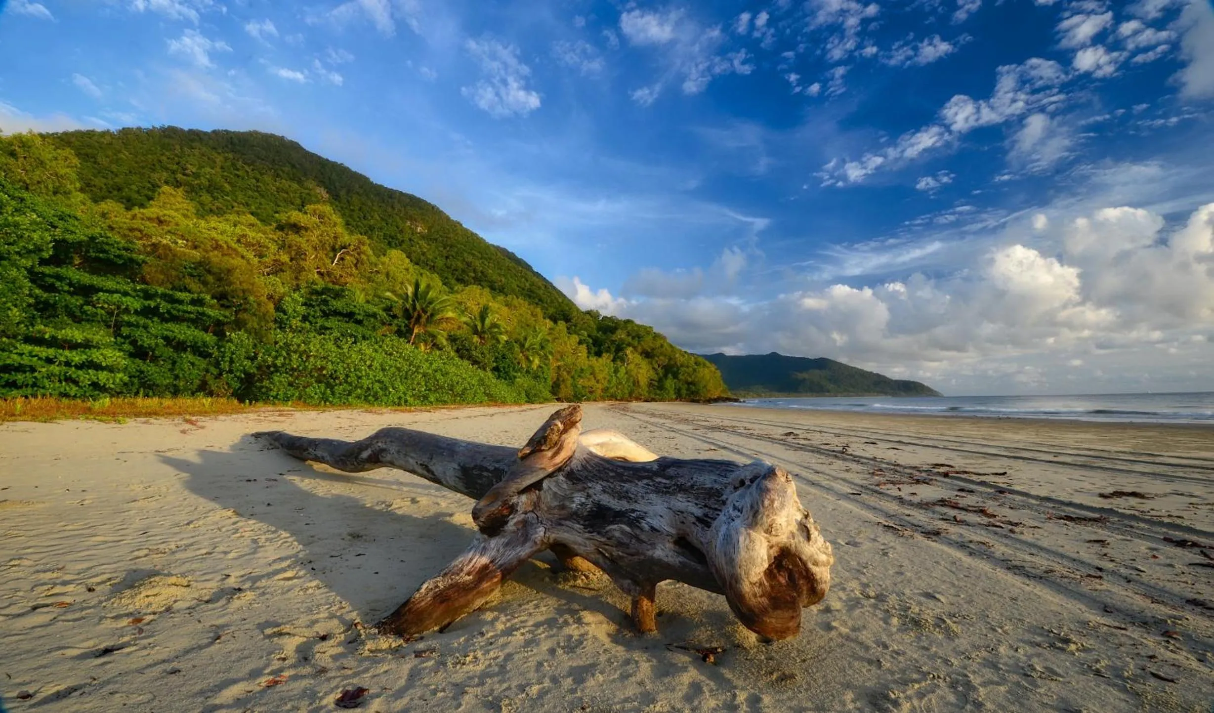 Natural landscape in Thornton Beach Bungalows Daintree