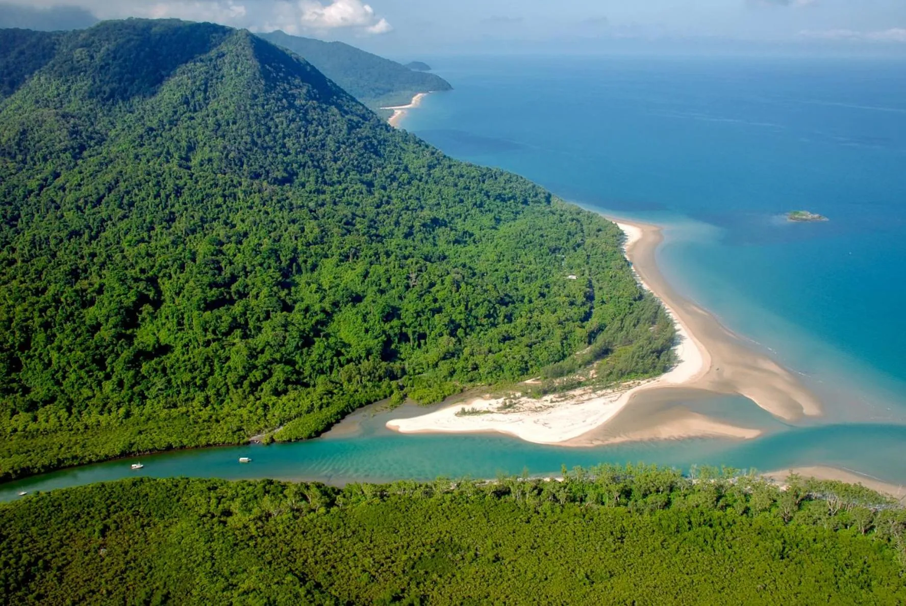 Natural landscape in Thornton Beach Bungalows Daintree