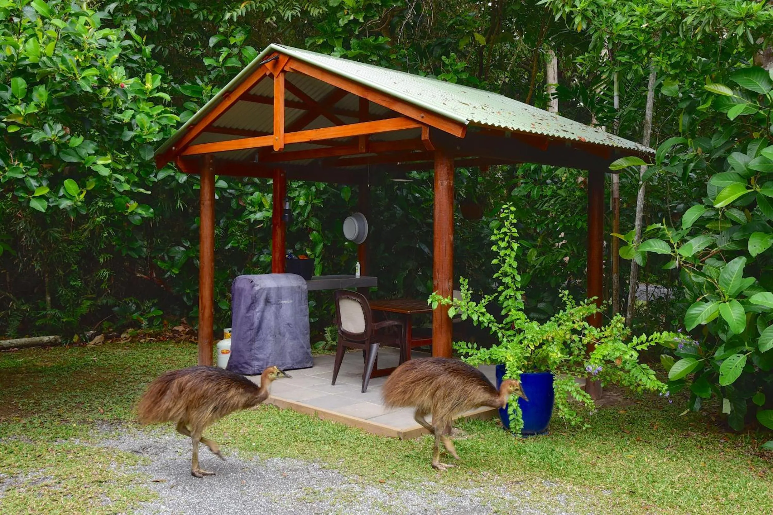 BBQ facilities in Thornton Beach Bungalows Daintree