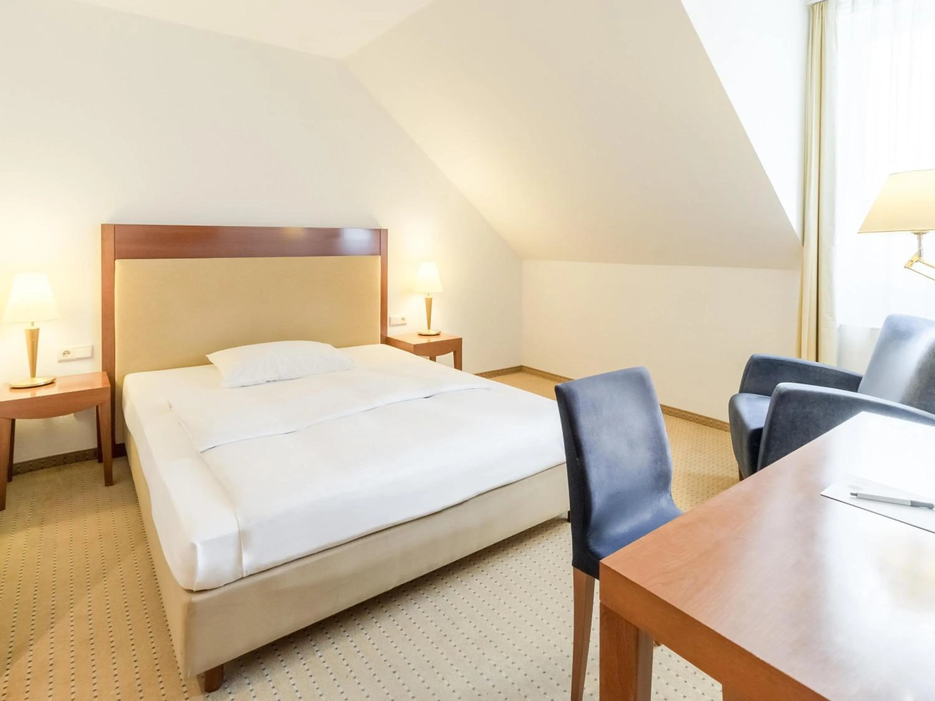 Single Room in NOVOTEL Hildesheim City