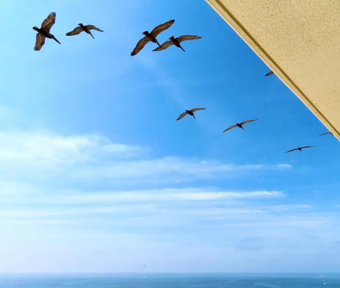 Balcony/Terrace in Just Updated - Beachfront Ocean view, 19th Floor