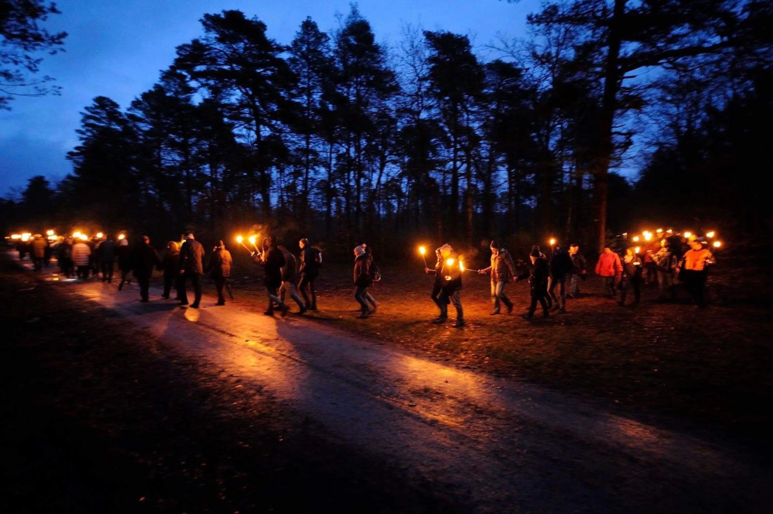 Evening entertainment in Hotel zur Heideblüte